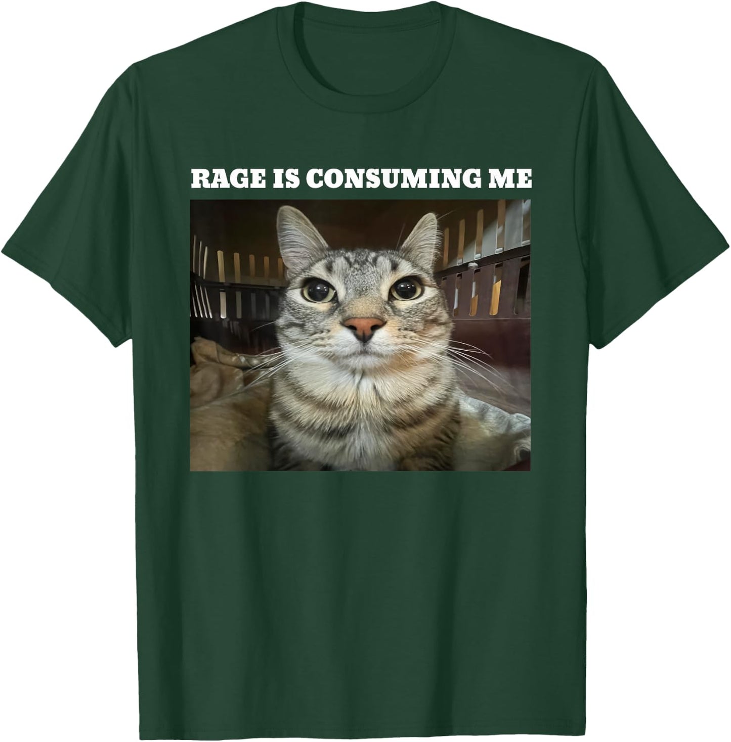 Rage Is Consuming Me Cat Meme T-Shirt - T-Shirt | Forest