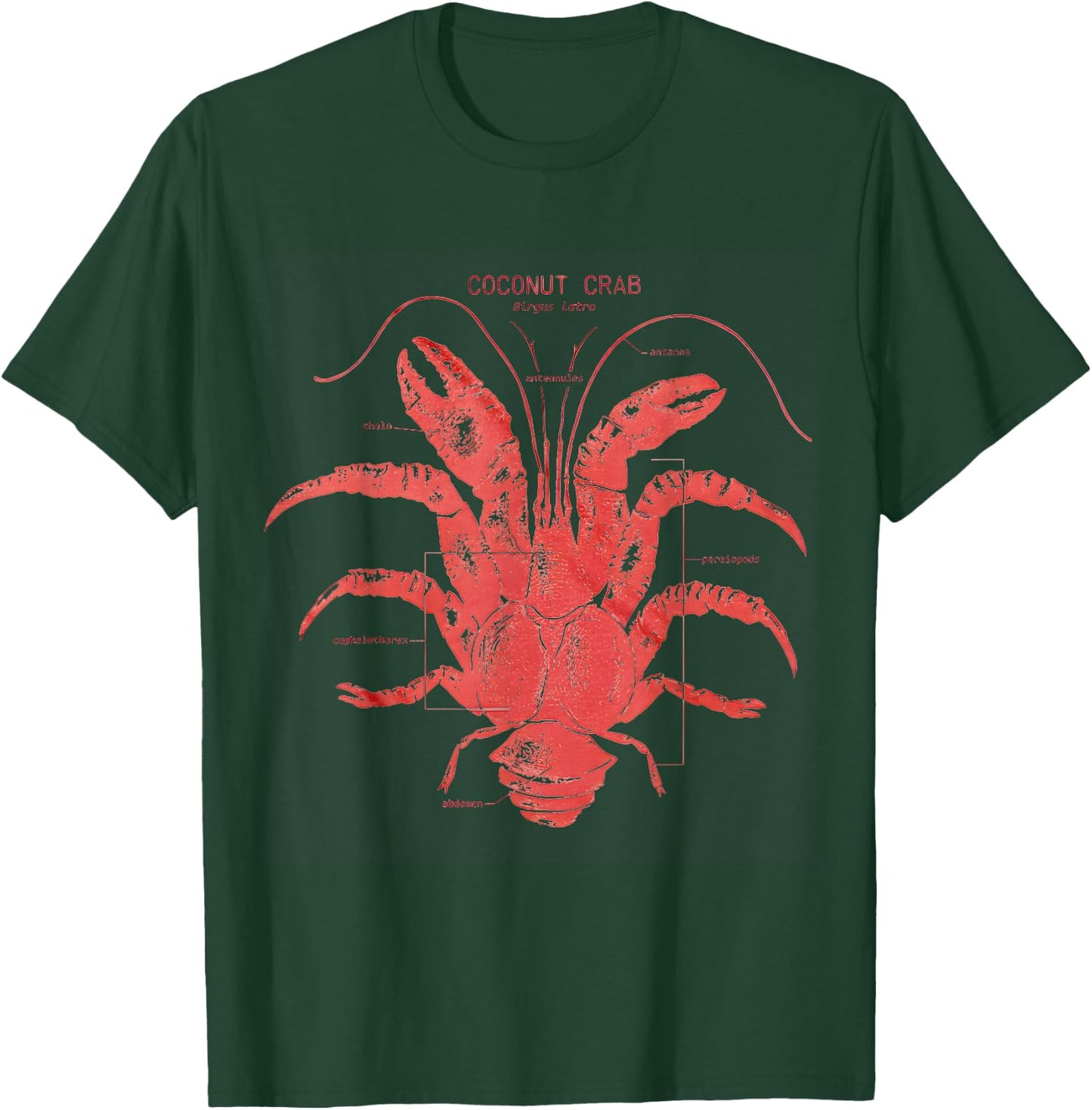 Coconut Crab Anatomy T-Shirt - T-Shirt | Forest