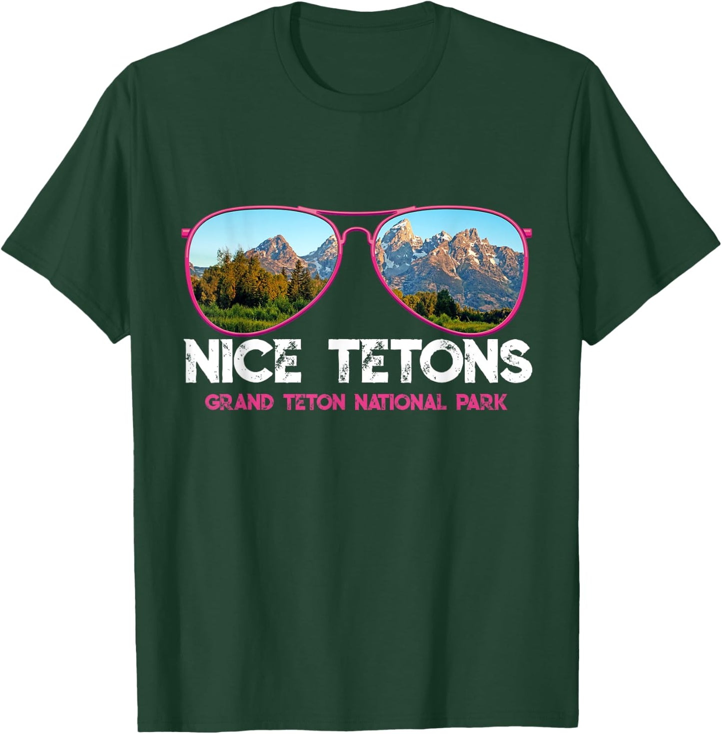 Punny Nice Tetons Teton Mountain T-Shirt - T-Shirt | Forest