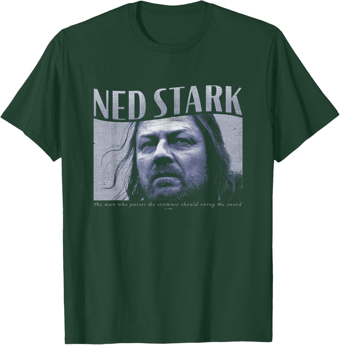 Game Of Thrones Ned Stark Swing The Sword Vintage Panel T-Shirt - T-Shirt | Forest
