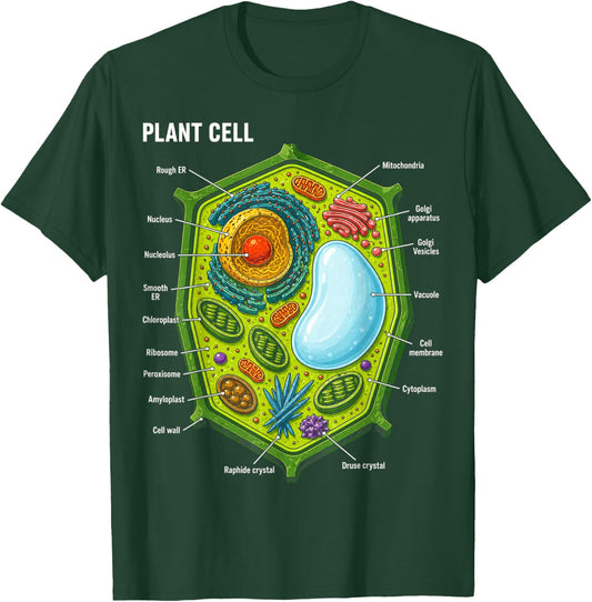 Plant Cell Anatomy Biology Science Education Gifts Men Women T-Shirt - T-Shirt | Forest