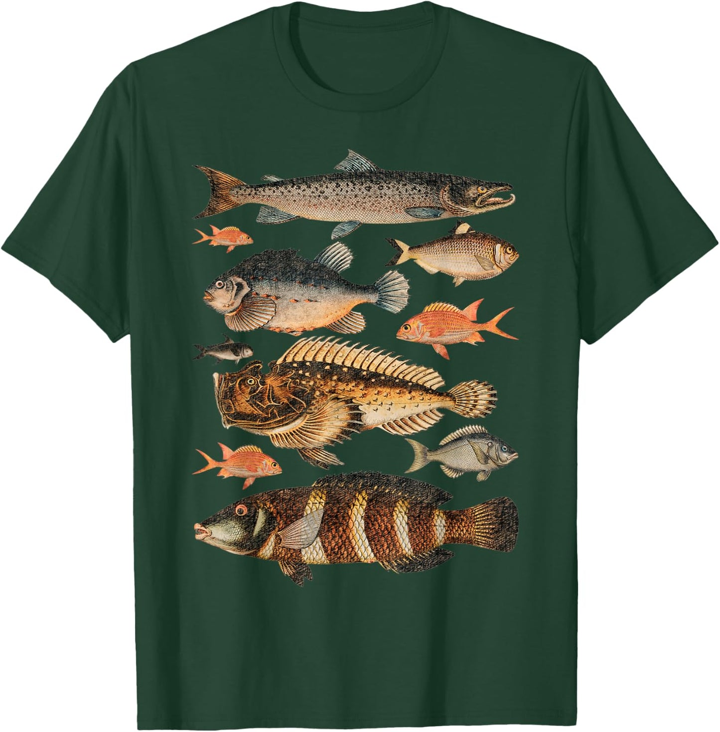 Fish Species Biology Sketch For Kids & Fisherman - Fishing T-Shirt - T-Shirt | Forest