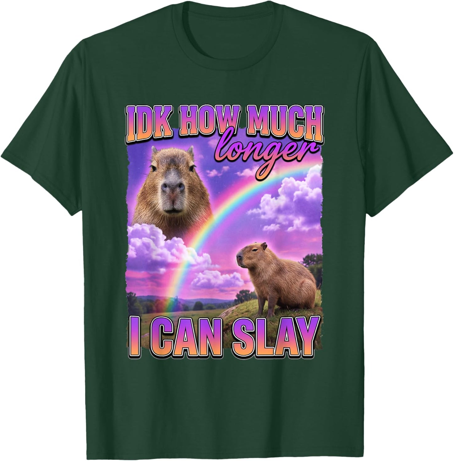 Funny Capybara Meme IDK How Much Longer I Can Slay T-Shirt - T-Shirt | Forest