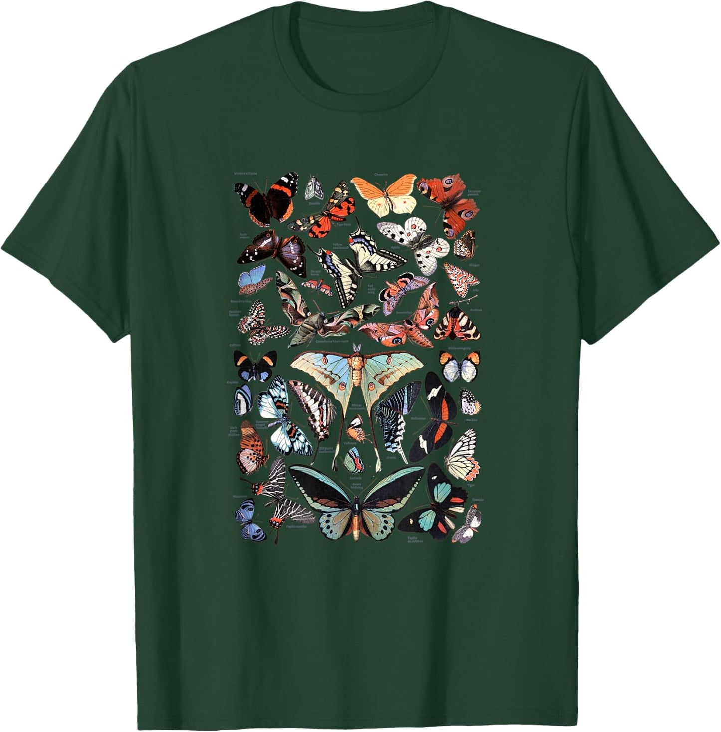 Vintage Butterflies - Butterfly Collection English Names T-Shirt - T-Shirt | Forest