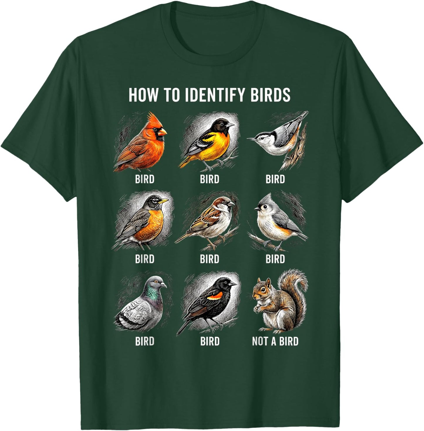 Vögel Bestimmen Lustiges Eichhörnchen Vogelbeobachtung T-Shirt - T-Shirt | Forest