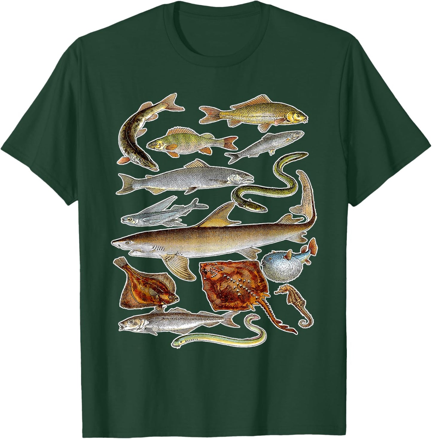 Sea Animals - Fish Sharks and Eels Illustration T-Shirt - T-Shirt | Forest