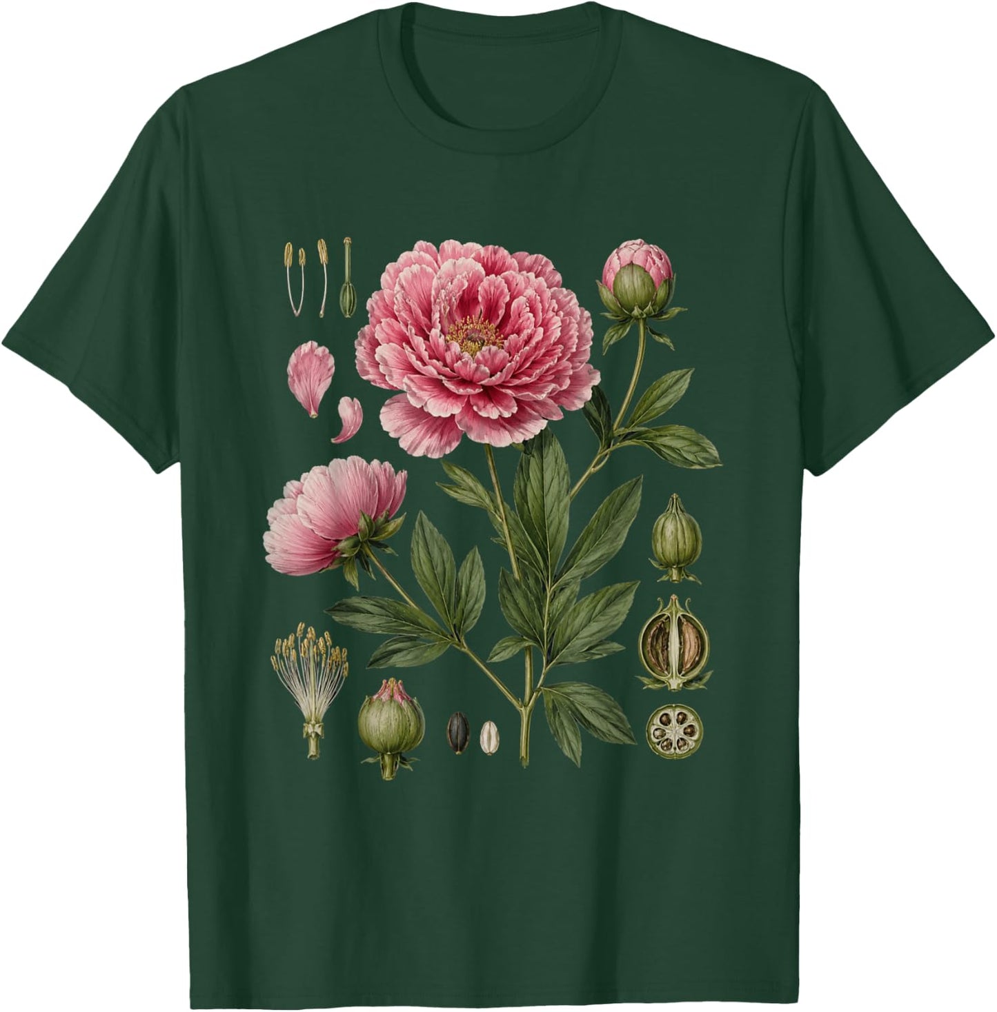 Peony Anatomy Botanical Illustration Women Flower Peony T-Shirt - T-Shirt | Forest