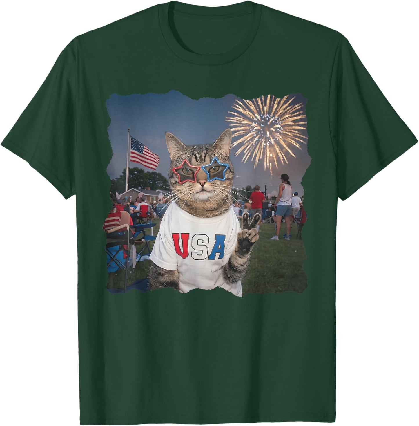 4th of July USA 250 Years Fireworks Funny Patriotic Cat Meme T-Shirt - T-Shirt | Forest