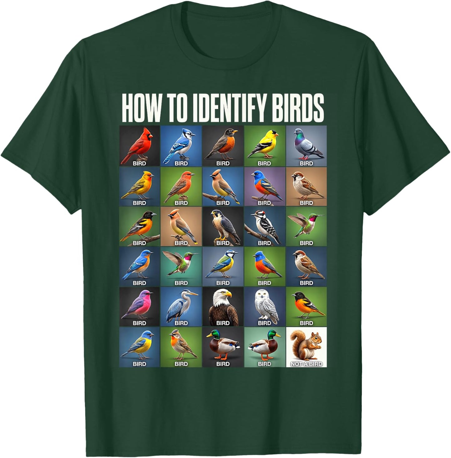 Vögel Bestimmen Lustiges Eichhörnchen Vogelbeobachtung T-Shirt - T-Shirt | Forest