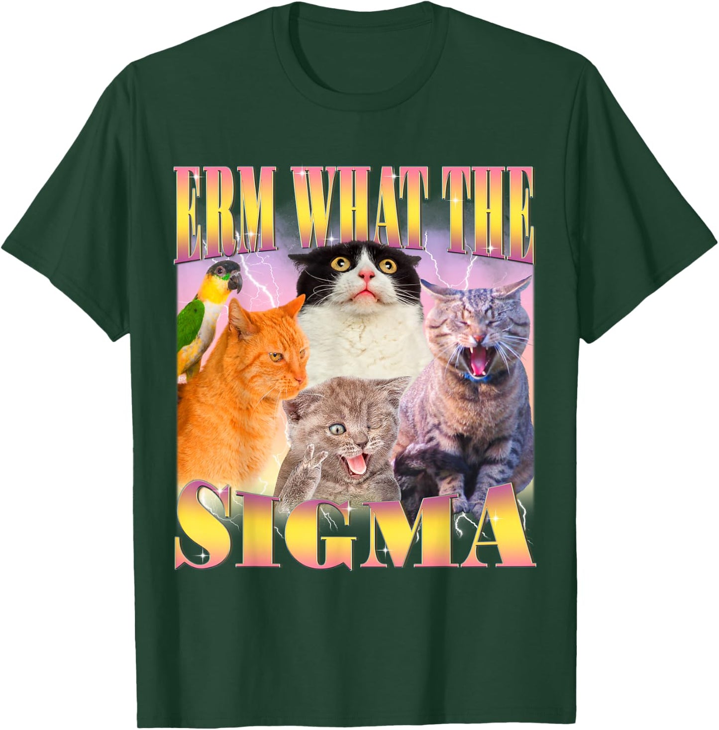 Cat Erm, What The Sigma? Funny Meme Ironic Humour Specific , Black, S T-Shirt - T-Shirt | Forest