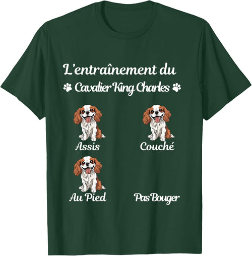 Cavalier King Charles Humour Woman Cavalier King Charles