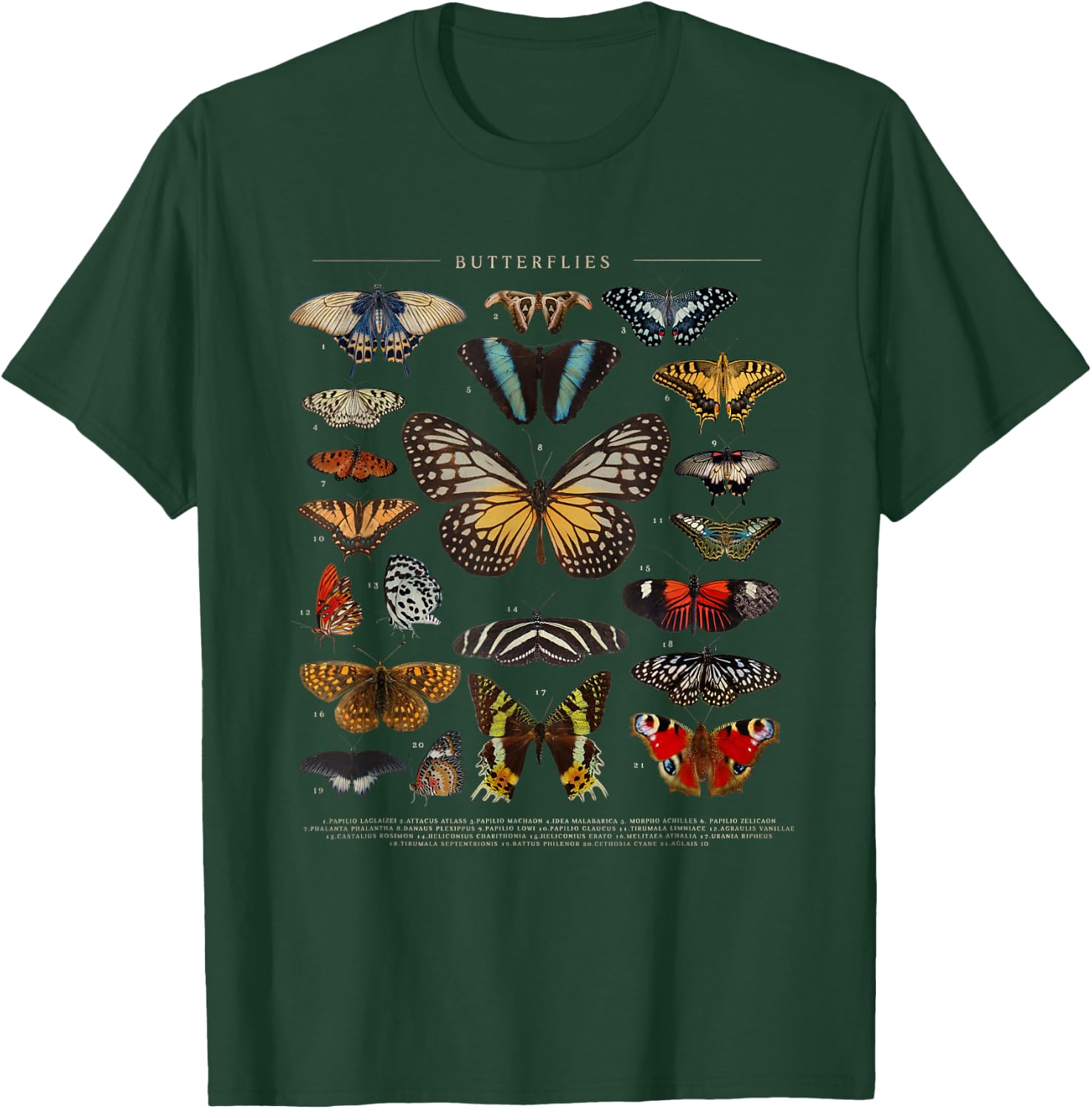 Butterfly Monarch Butterflies Colorful T-Shirt - T-Shirt | Forest