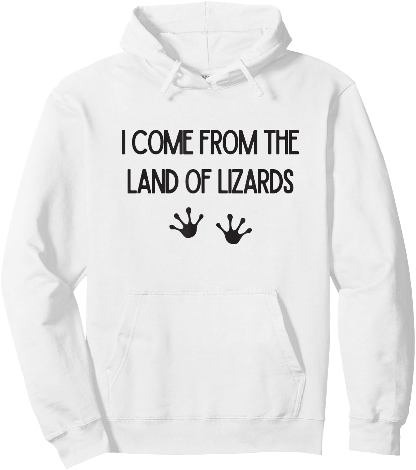 Land of Lizards Gamehenge Phish Hoodie - Hoodie | White