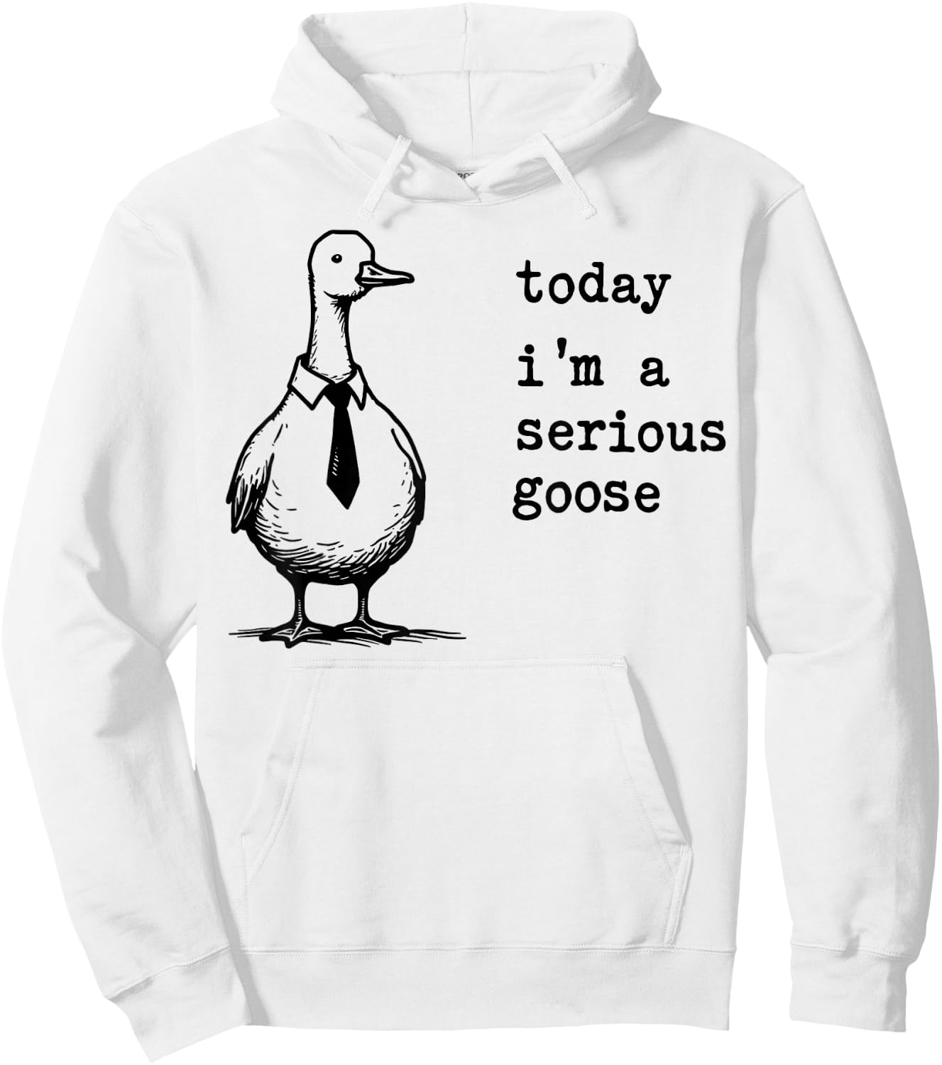 Today I'm A Serious Goose Funny Serious Goose Men Women Kids Hoodie - Hoodie | White