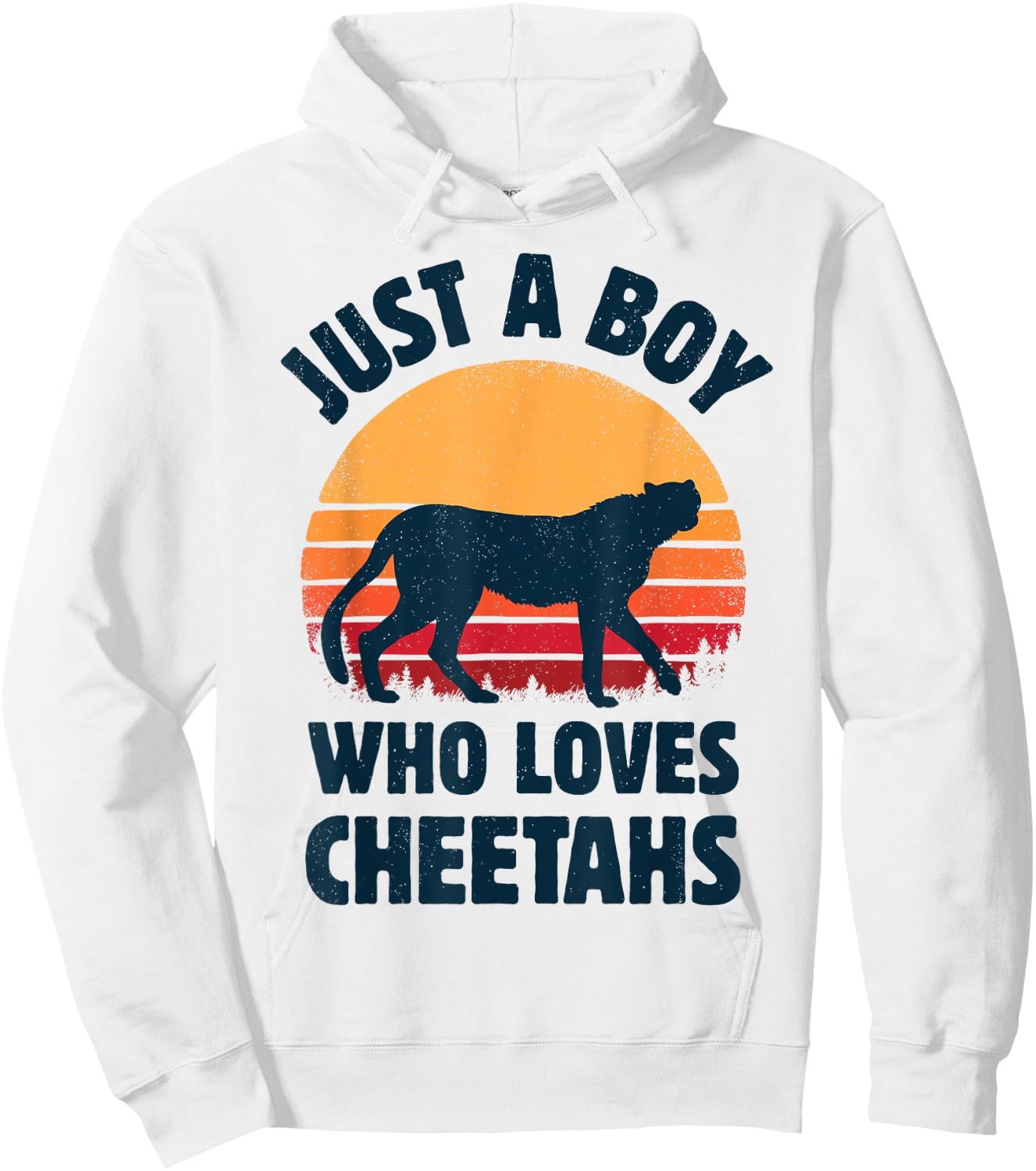 Cheetah Just A Boy Who Loves Cheetahs Retro Vintage Sunset Hoodie - Hoodie | White