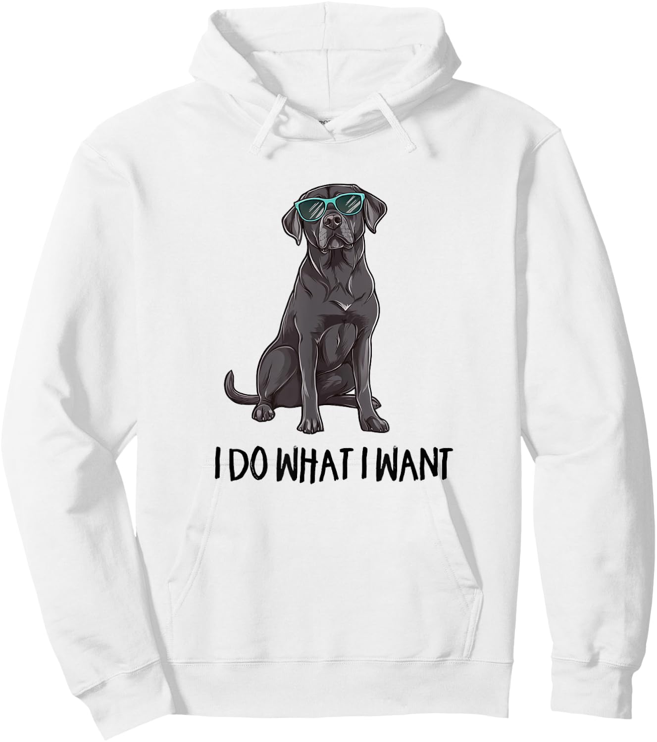 & Kids Funny Do What I Want Black Lab Lover Hoodie - Hoodie | White