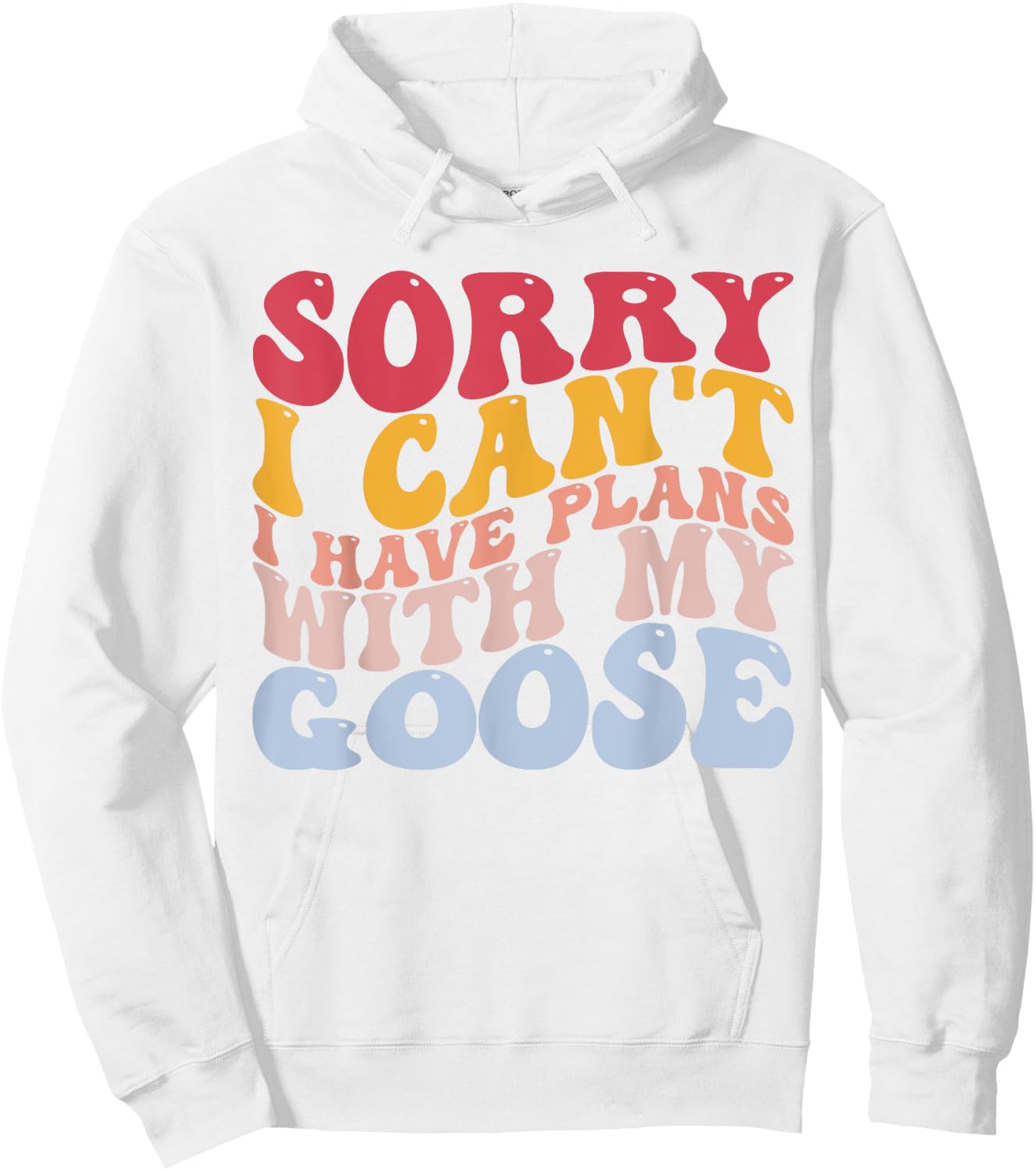Sorry I Can't I Have Plans With My Goose Goose Lovers Hoodie - Hoodie | White