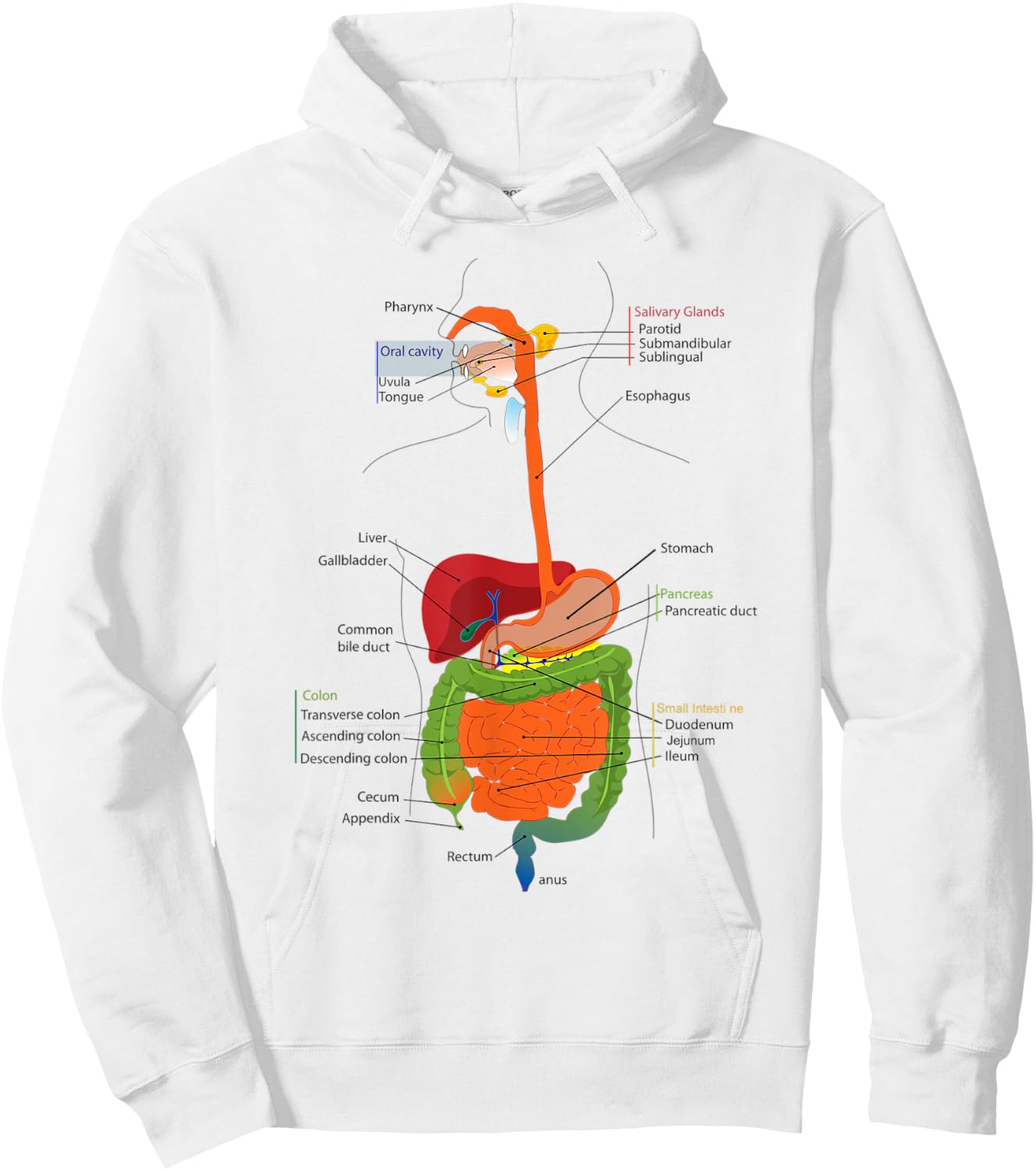 Human Body Digestive System Gastrointestinal Tract Anatomy Hoodie - Hoodie | White