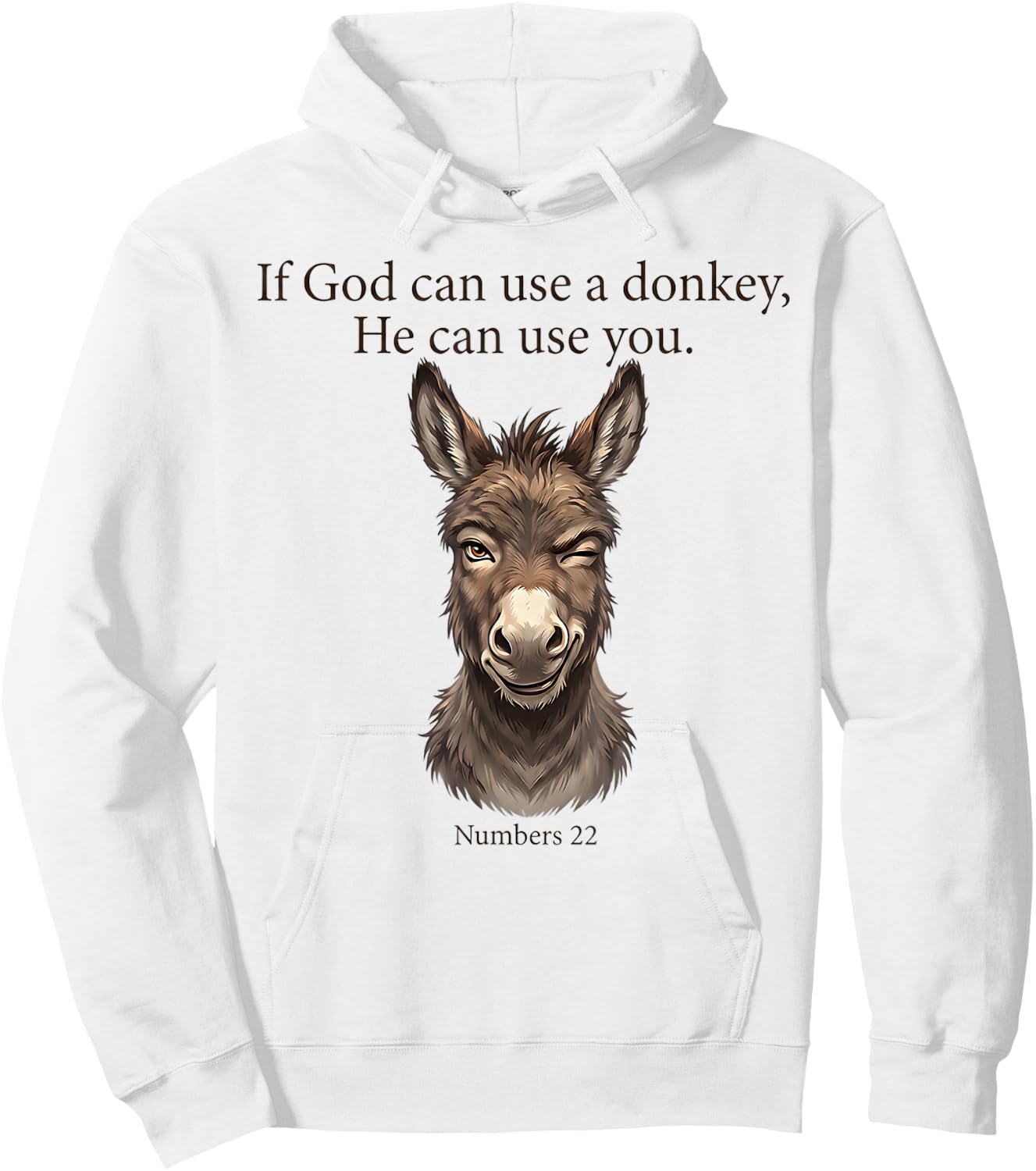 If God Can Use A Donkey He Can Use You Christian Bible Verse Hoodie - Hoodie | White