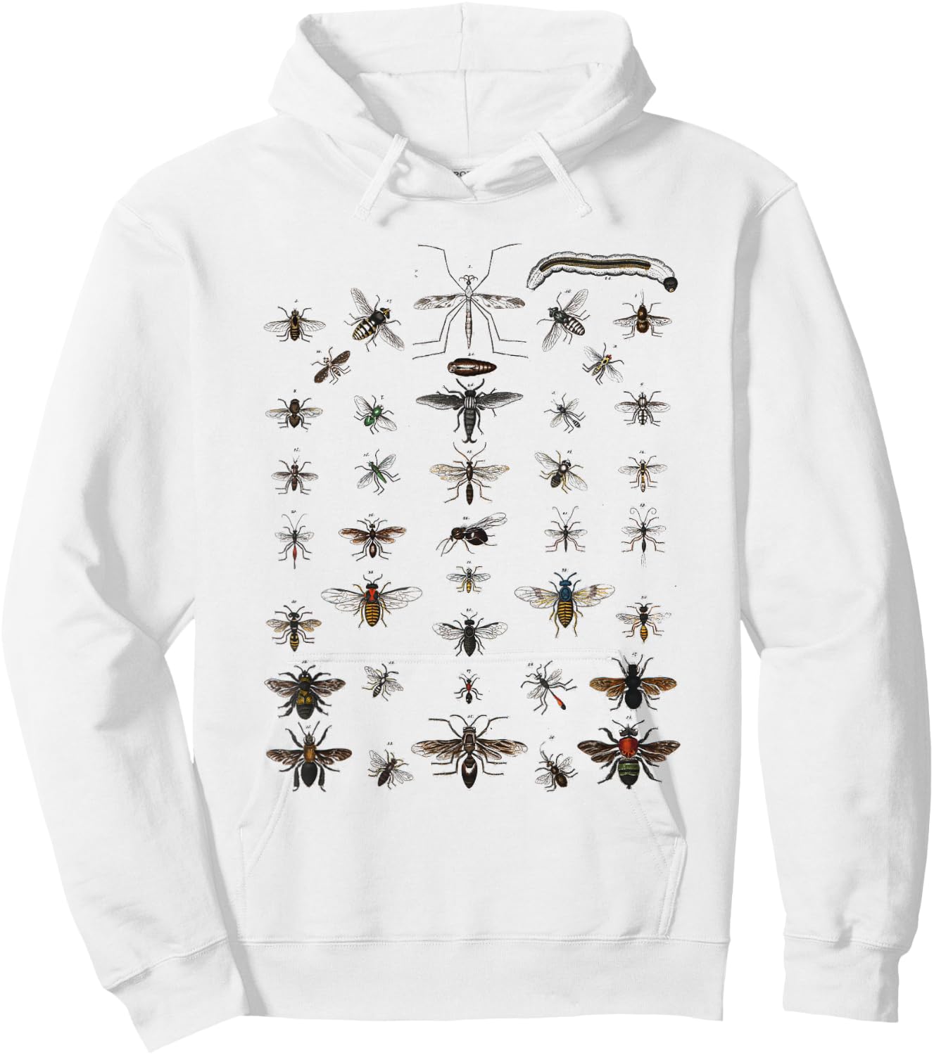 Insects Collection Species Bugs vintage Chart Entomology Hoodie - Hoodie | White