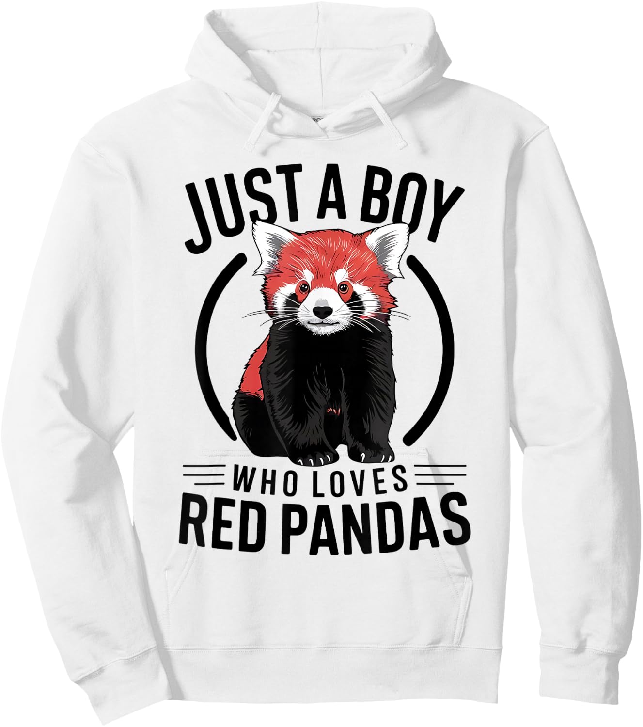 Just A Boy Who Loves Red Pandas Hoodie - Hoodie | White