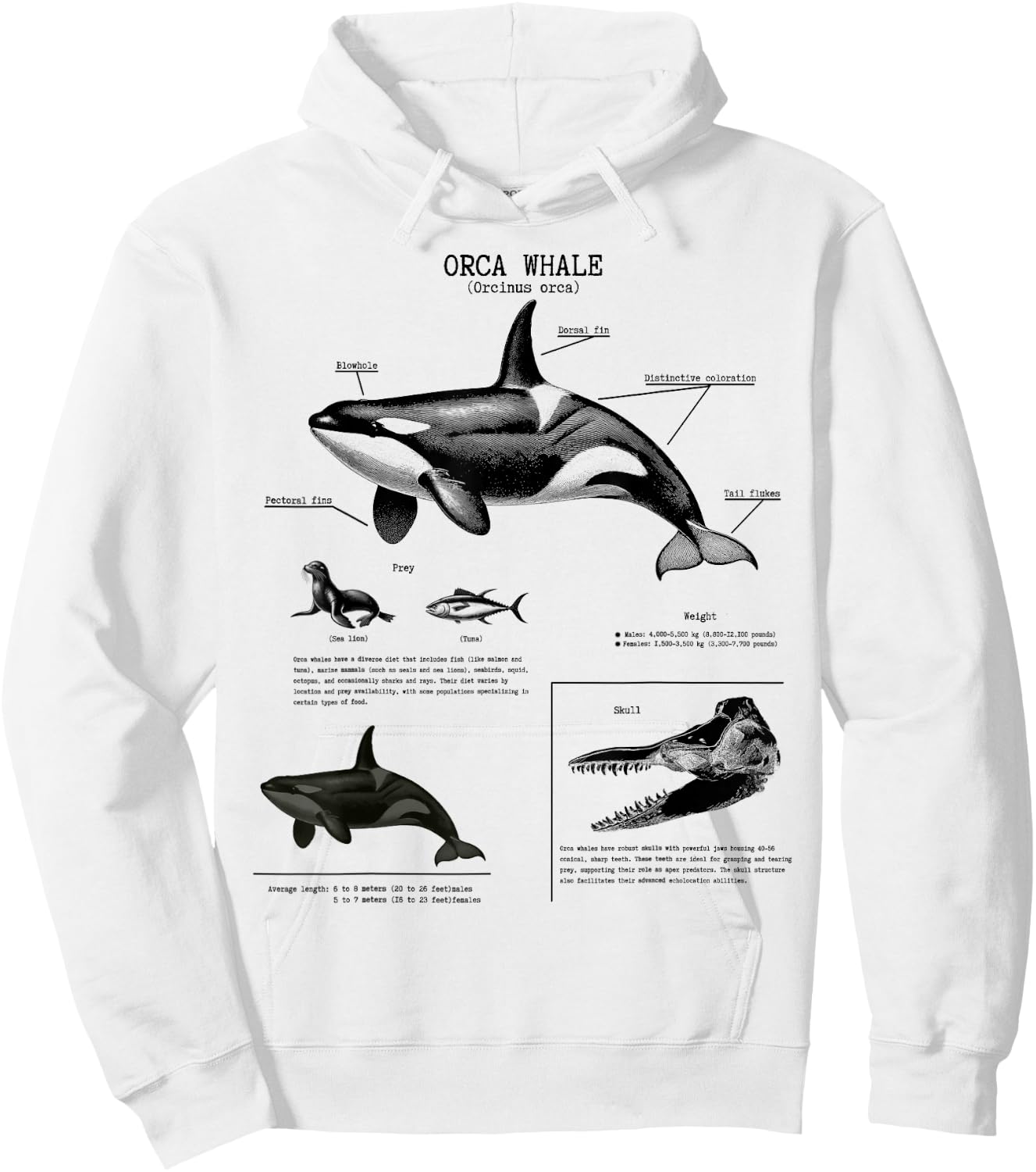 Orca Whale Anatomy Wall Lover Marine Biologist , White Hoodie - Hoodie | White