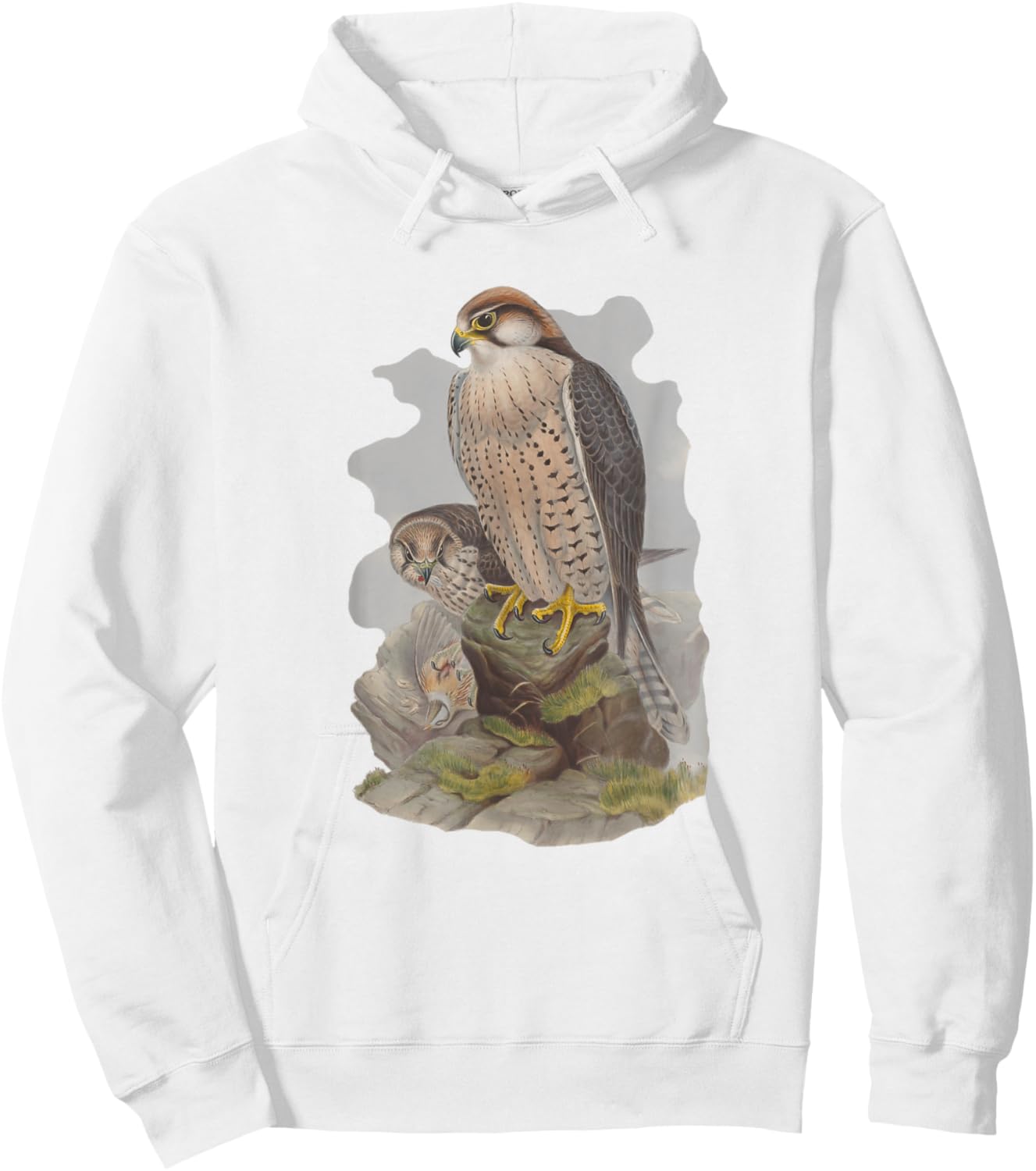 Vintage Falcon Scientific Drawing Shirt - Falconry Lanner Hoodie - Hoodie | White