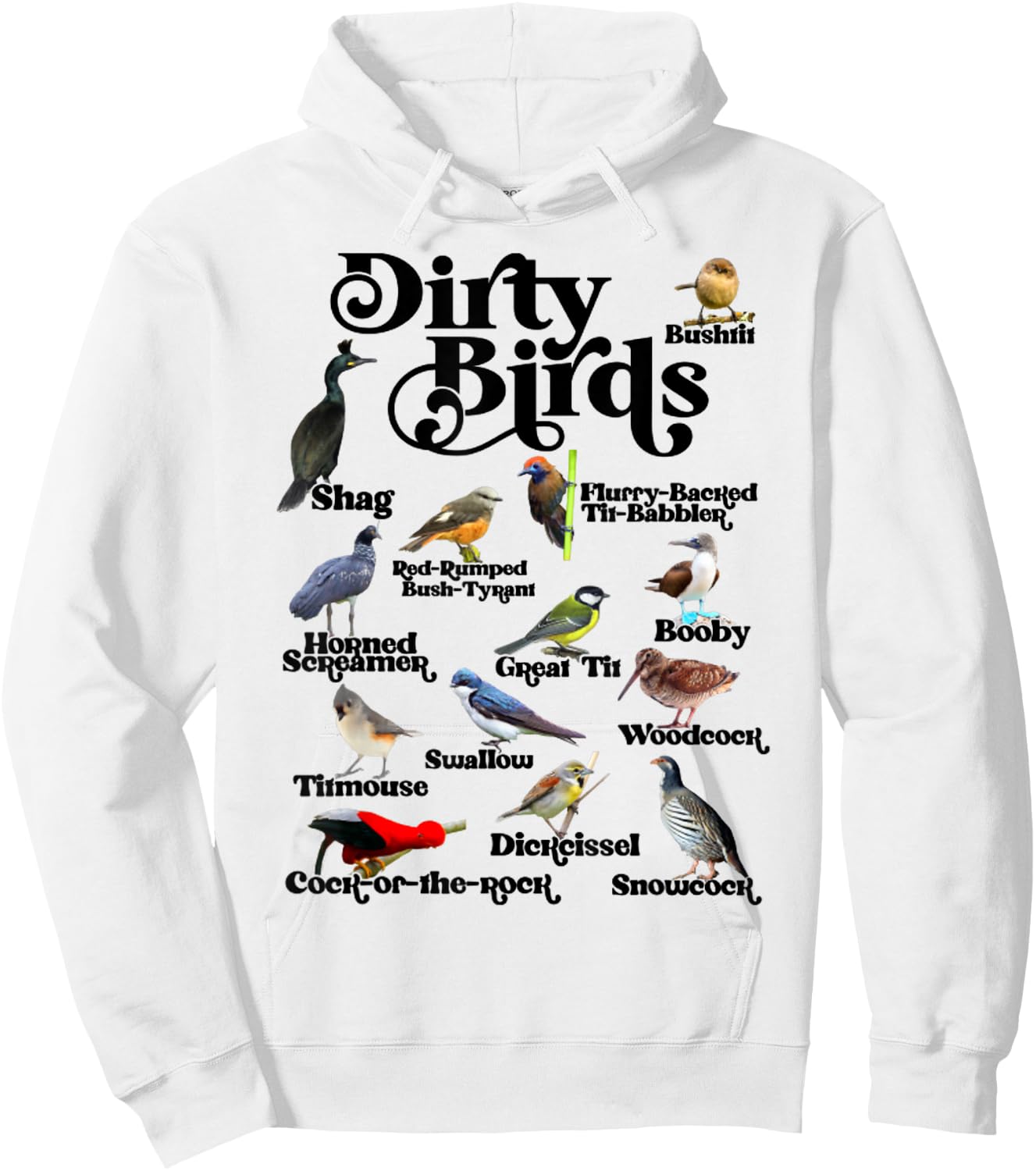 Funny Dirty Birds And Foul Language Birds For Bird Lover Hoodie - Hoodie | White
