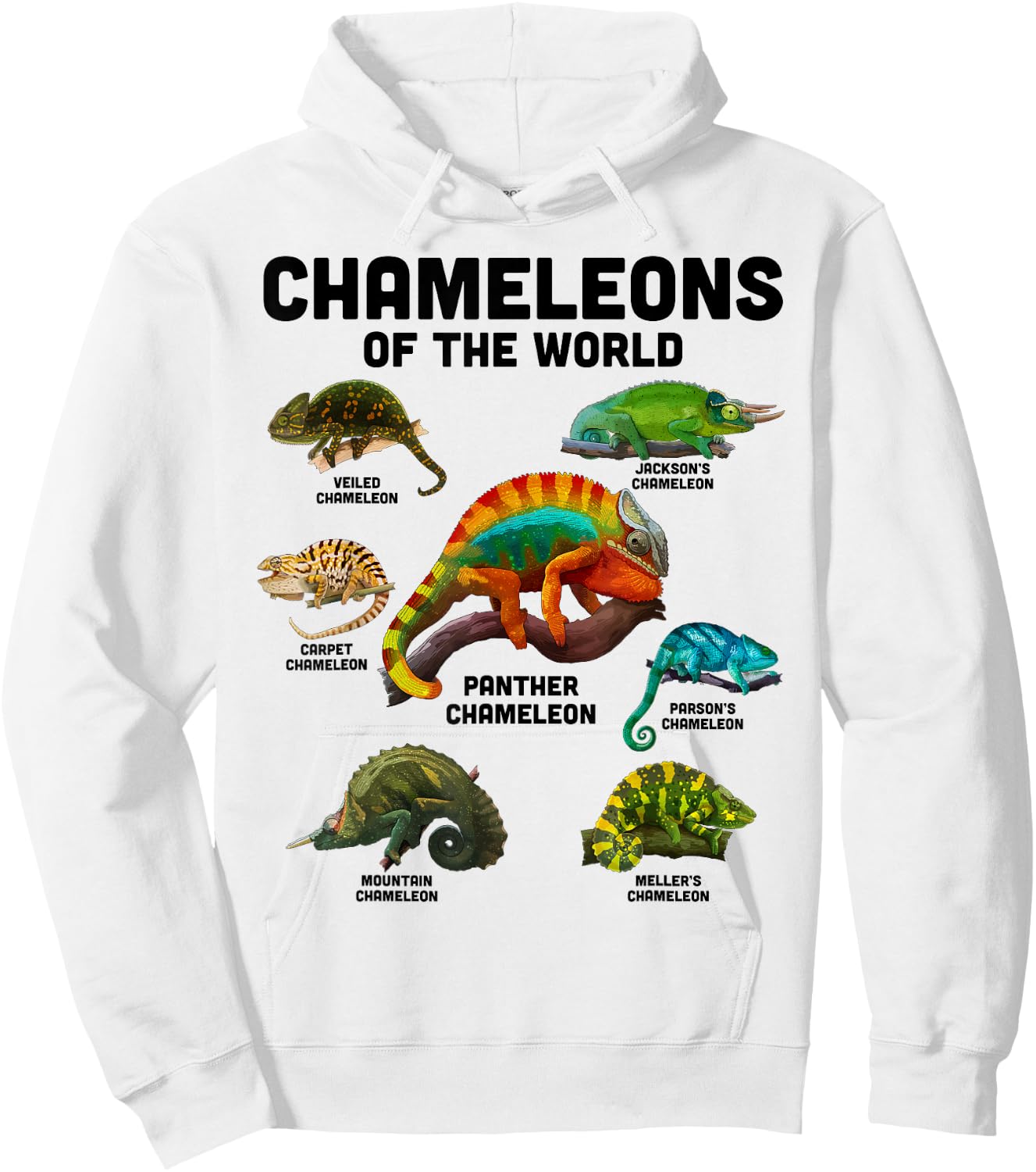 Chameleon Shirt Chameleons of the World Educational Reptile Hoodie - Hoodie | White