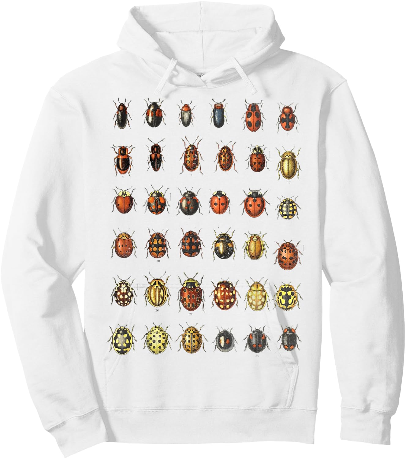 Insects Ladybugs Species Bug Vintage Entomology Entomologist Hoodie - Hoodie | White