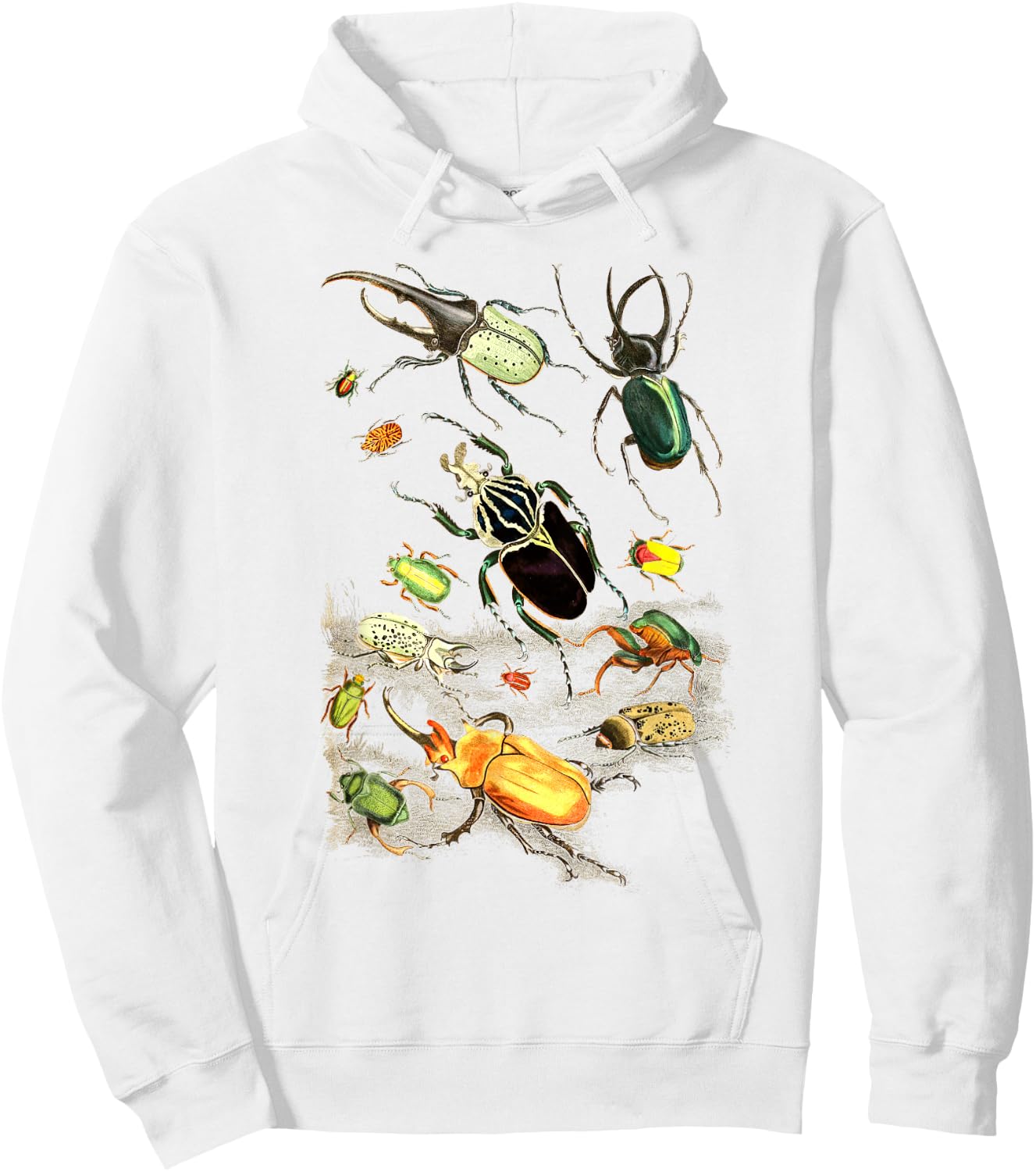 Insects Collection Species Bugs vintage Chart Entomology Hoodie - Hoodie | White