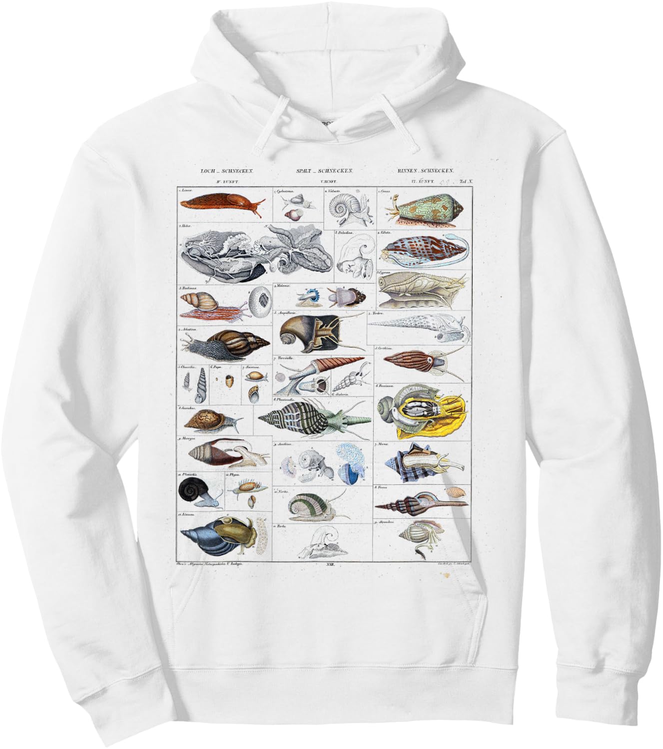 Oceanography Ocean Zoology biologists sailing Mollusk Hoodie - Hoodie | White