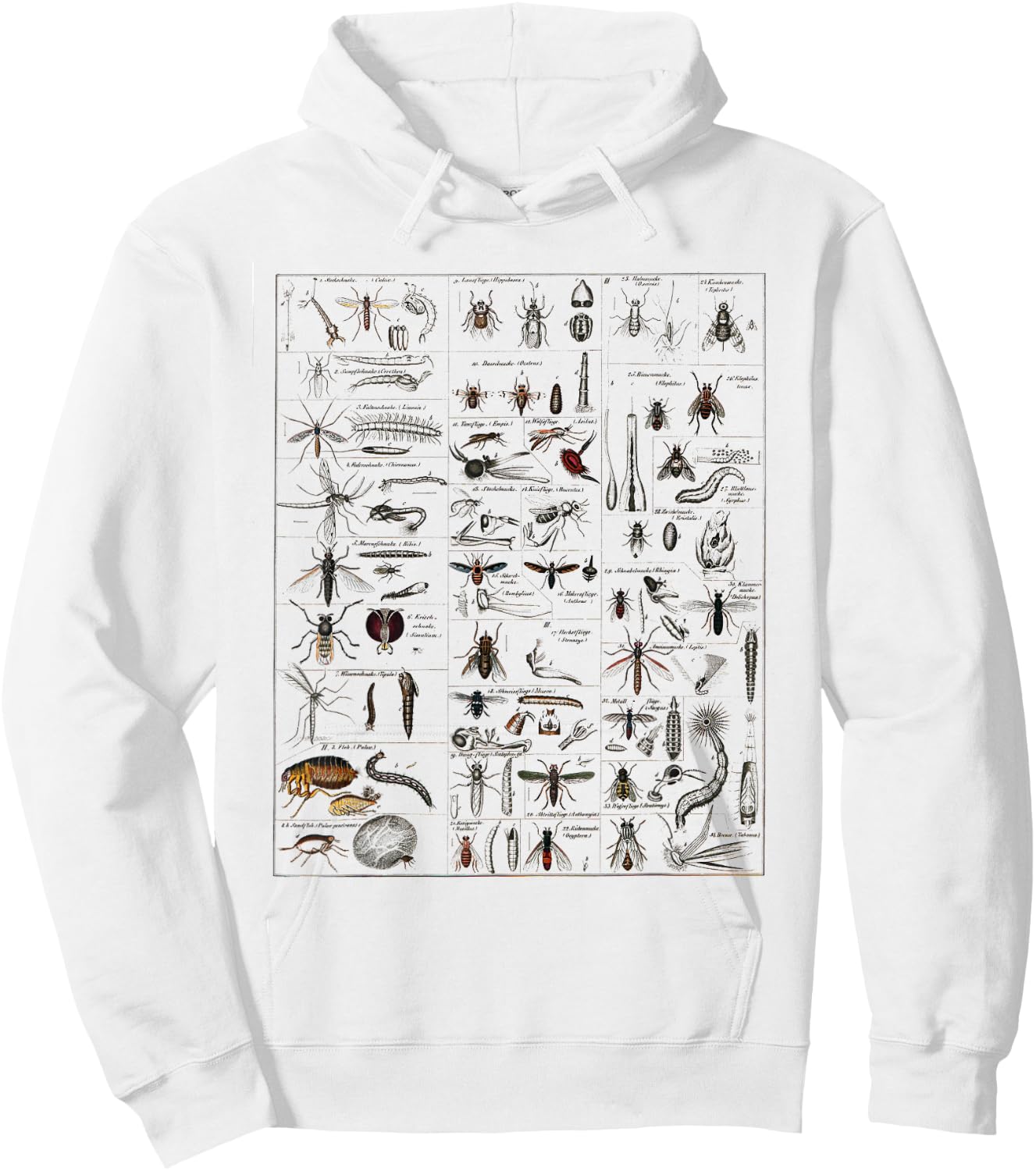 Insects Collection Species Bugs vintage Chart Entomology Hoodie - Hoodie | White