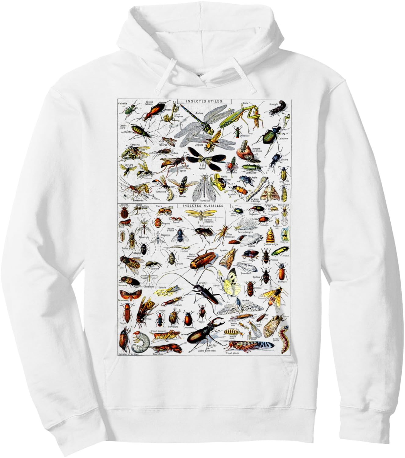 Insects Collection Species Bugs Vintage Chart Entomologie Hoodie - Hoodie | White
