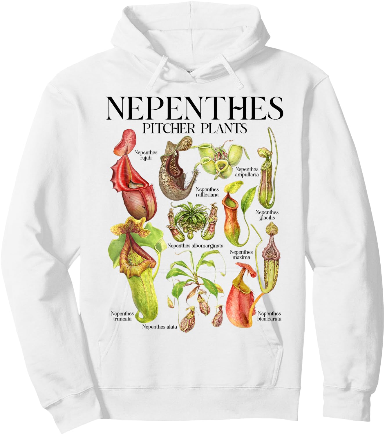 Carnivorous Plant Lover Botanical Nepenthes Pitcher Plants Hoodie - Hoodie | White