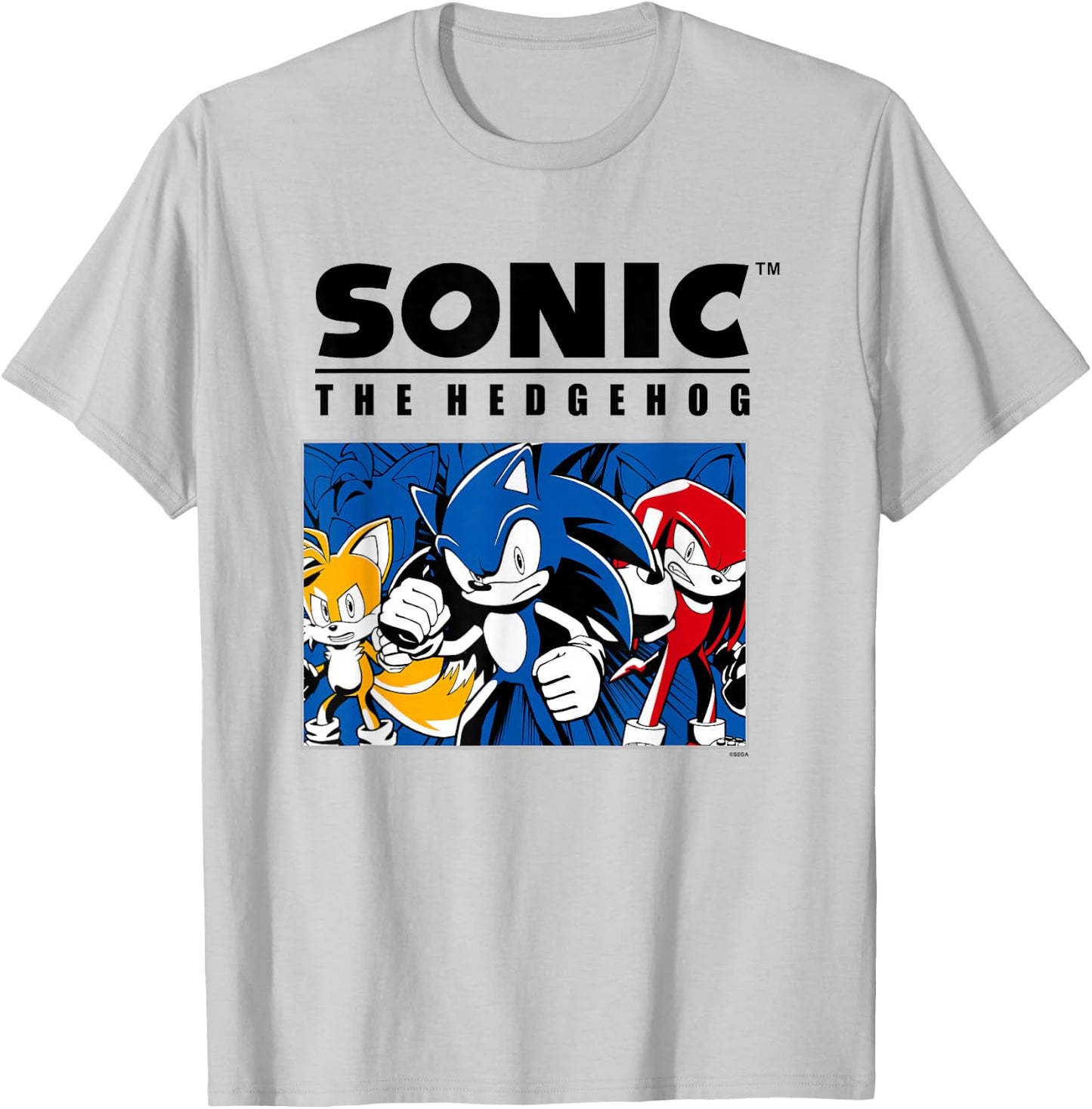 Sonic The Hedgehog Main Trio Heroic Group Portrait T-Shirt - T-Shirt | Ash