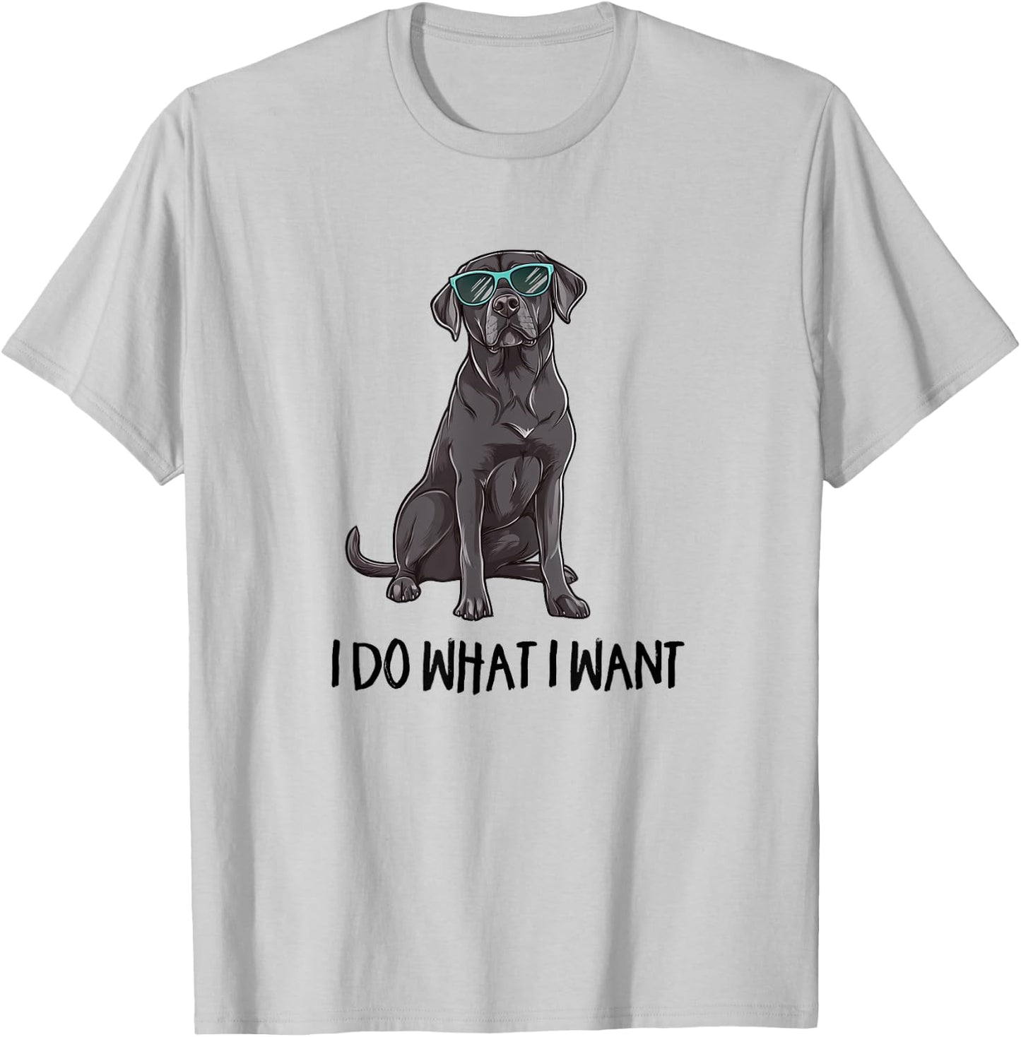 & Kids Funny Do What I Want Black Lab Lover T-Shirt - T-Shirt | Ash