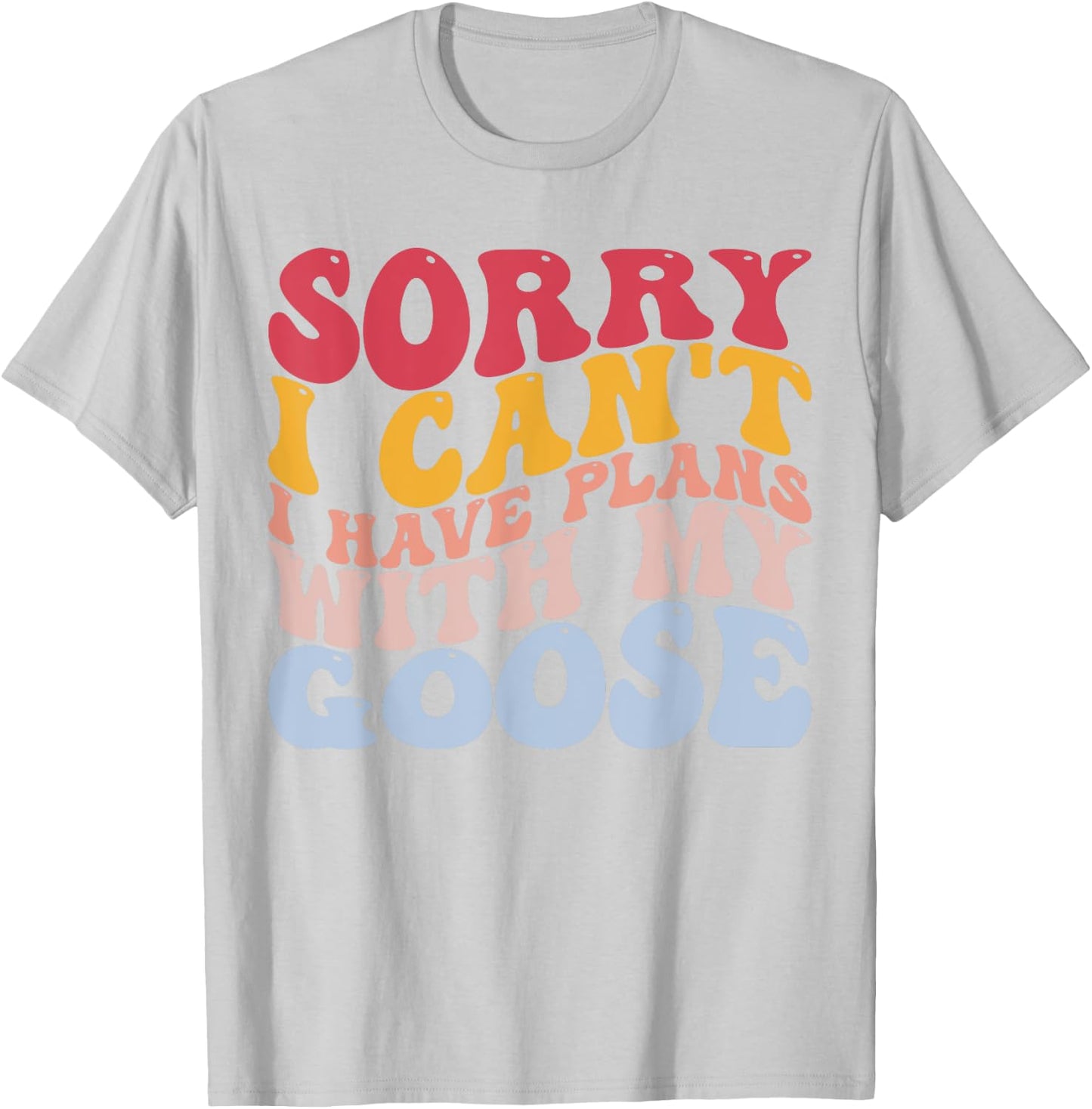 Sorry I Can't I Have Plans With My Goose Goose Lovers T-Shirt - T-Shirt | Ash