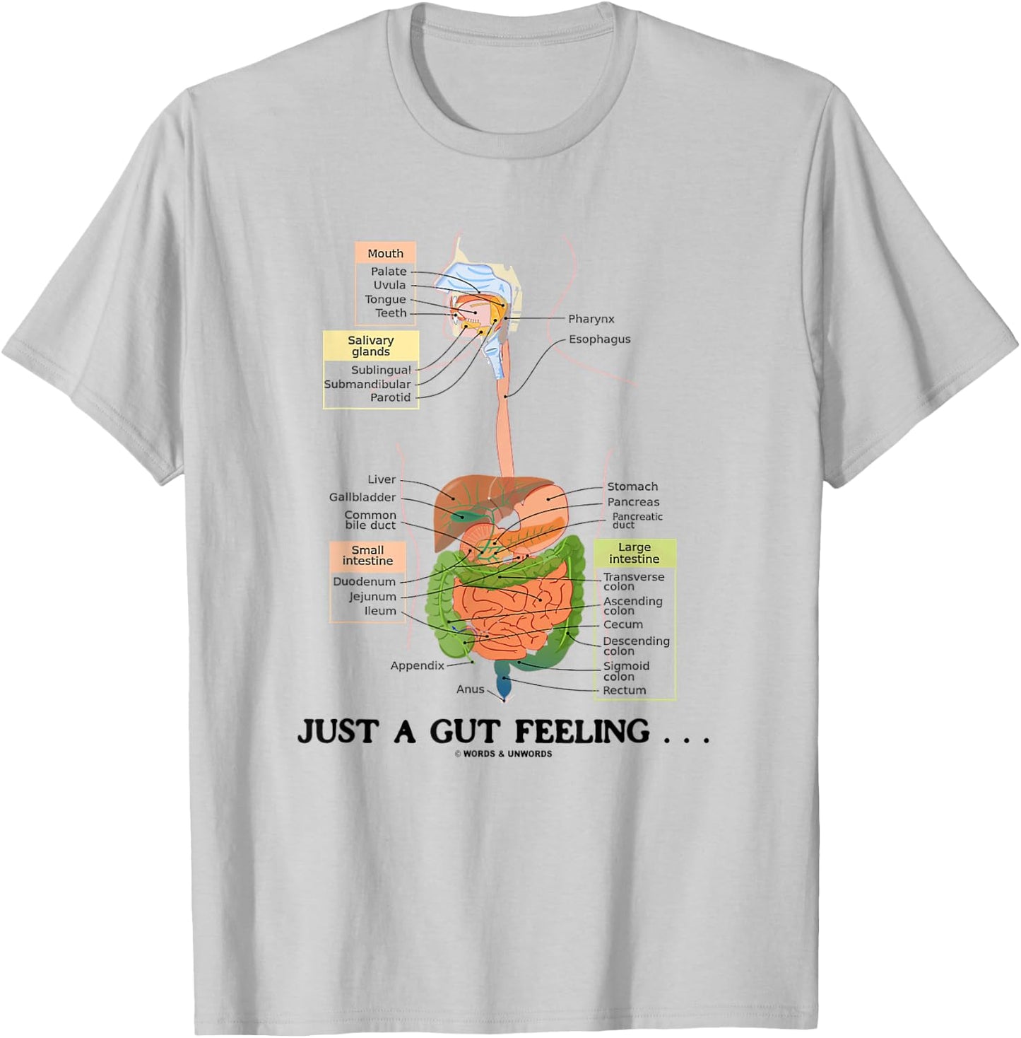 Just A Gut Feeling Digestive System Humor T-Shirt - T-Shirt | Ash