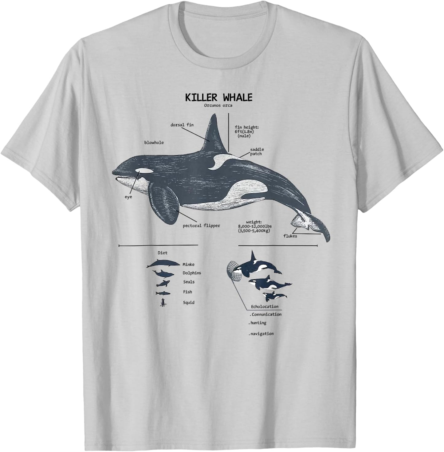 Killer Whale Anatomy Marine Biologist T-Shirt - T-Shirt | Ash