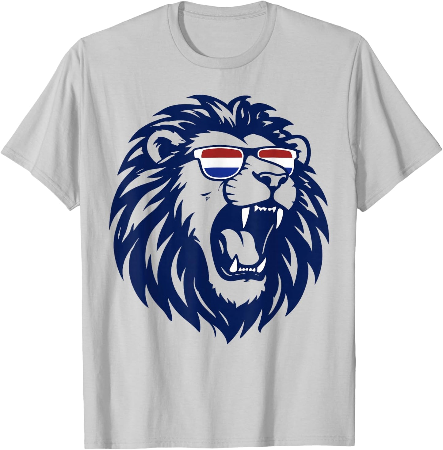Nederland Netherlands Lion Dutch Holland Vintage Orange T-Shirt - T-Shirt | Ash