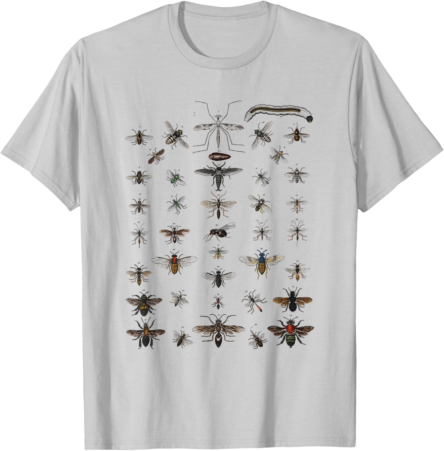 Insects Collection Species Bugs vintage Chart Entomology T-Shirt - T-Shirt | Ash