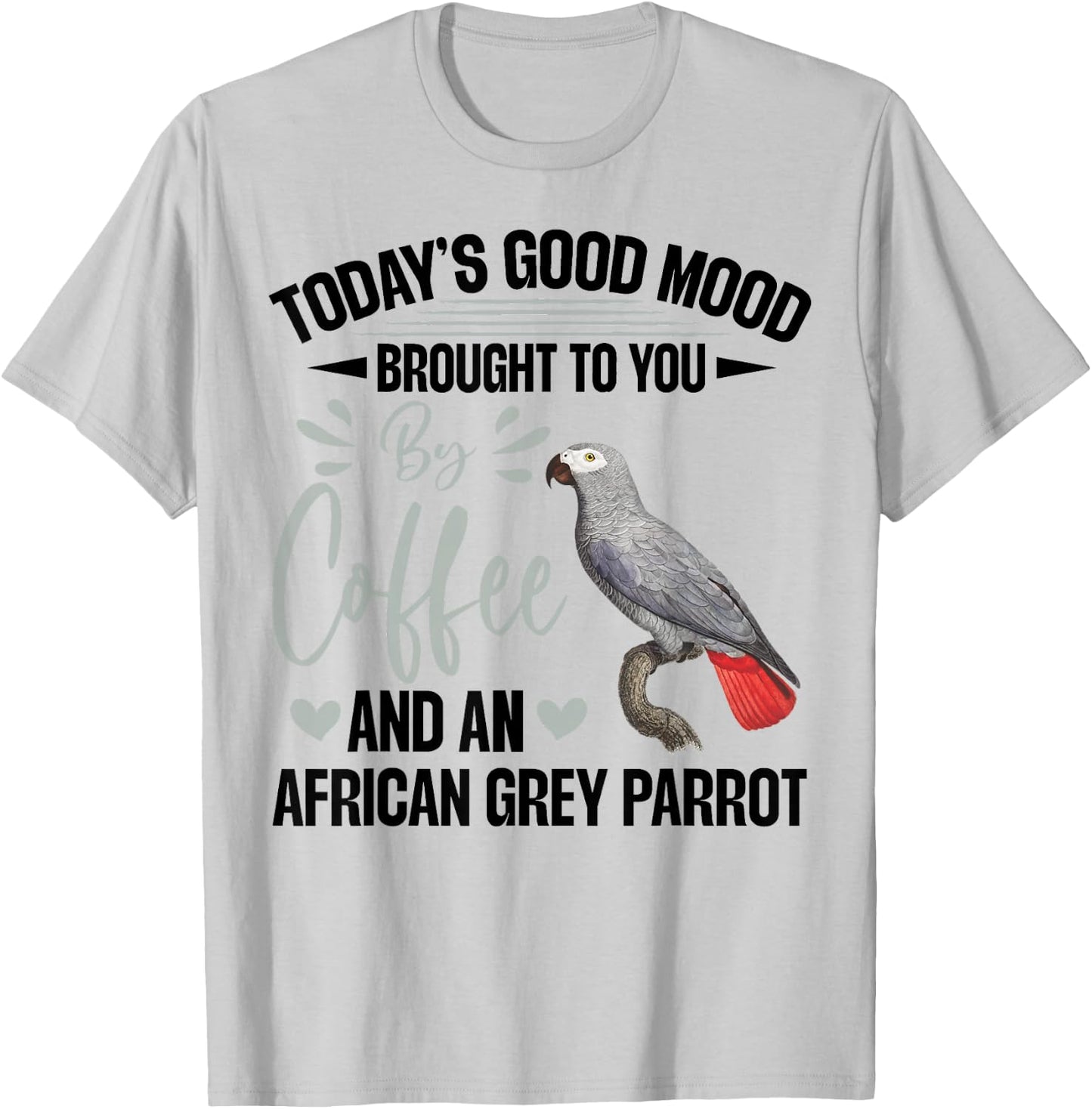 African Grey Parrot Toys African Grey Parrot Owner Parrot T-Shirt - T-Shirt | Ash