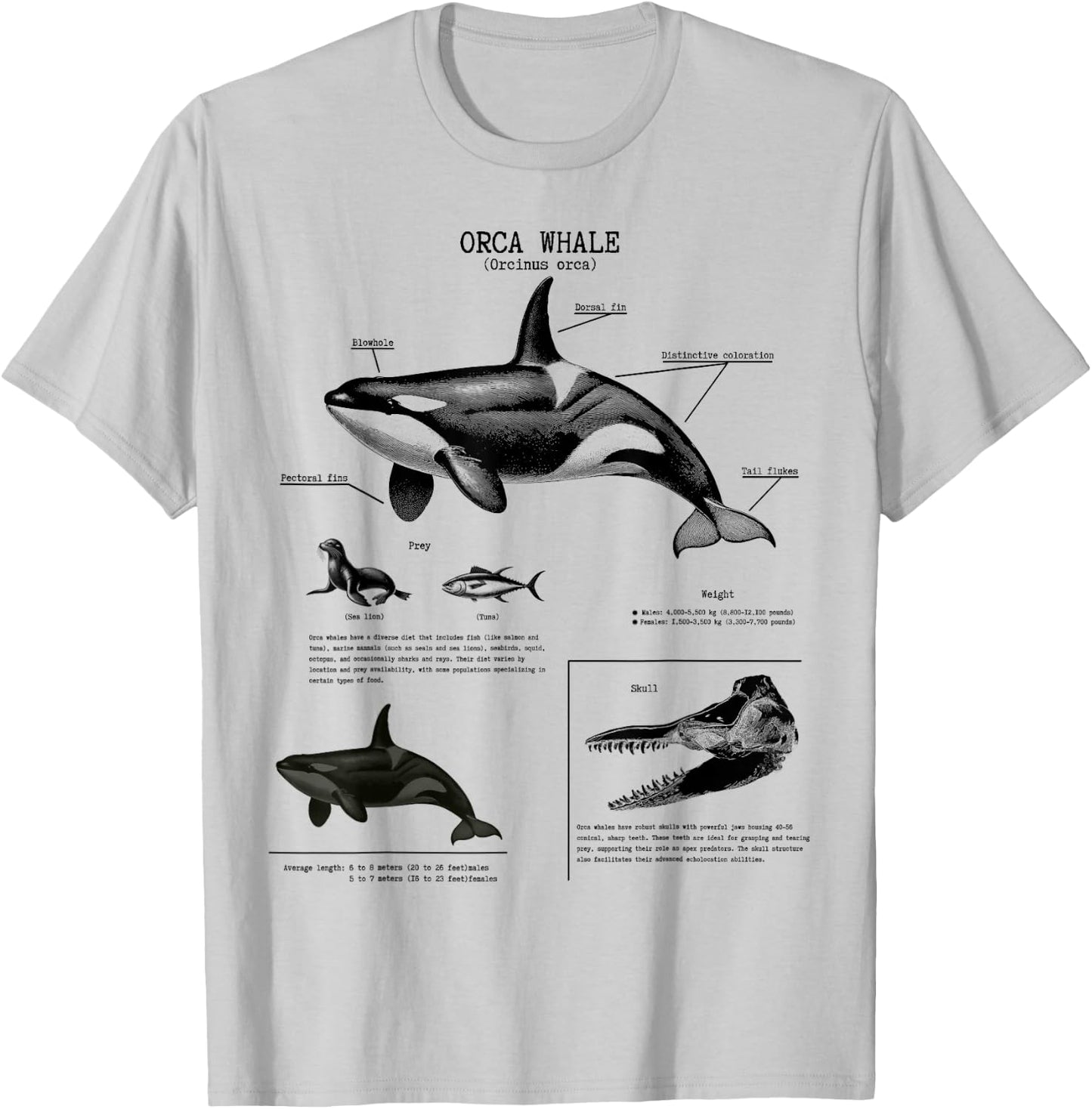 Orca Whale Anatomy Wall Lover Marine Biologist , White T-Shirt - T-Shirt | Ash
