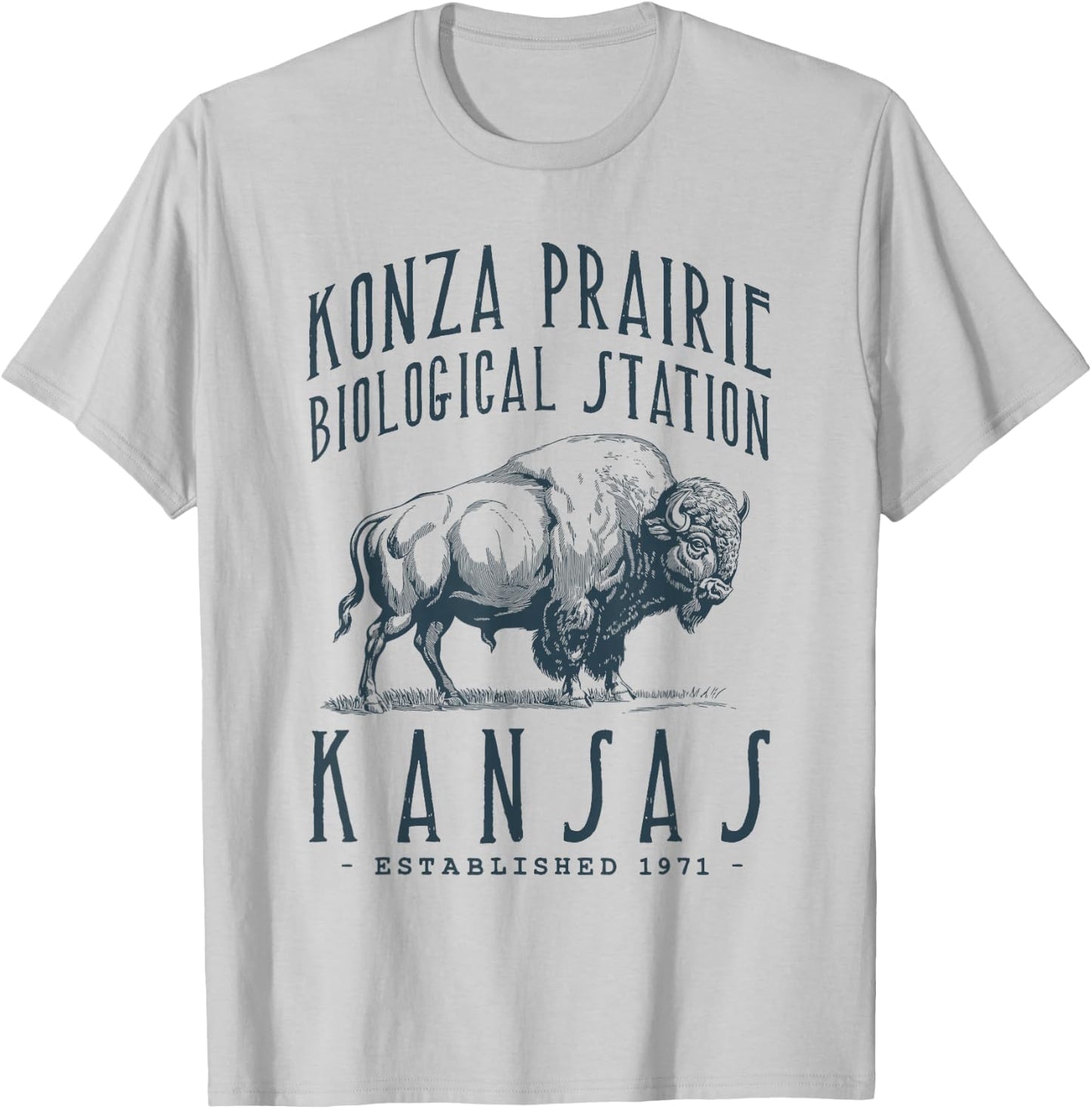Konza Prairie, Kansas. Bison Design T-Shirt - T-Shirt | Ash