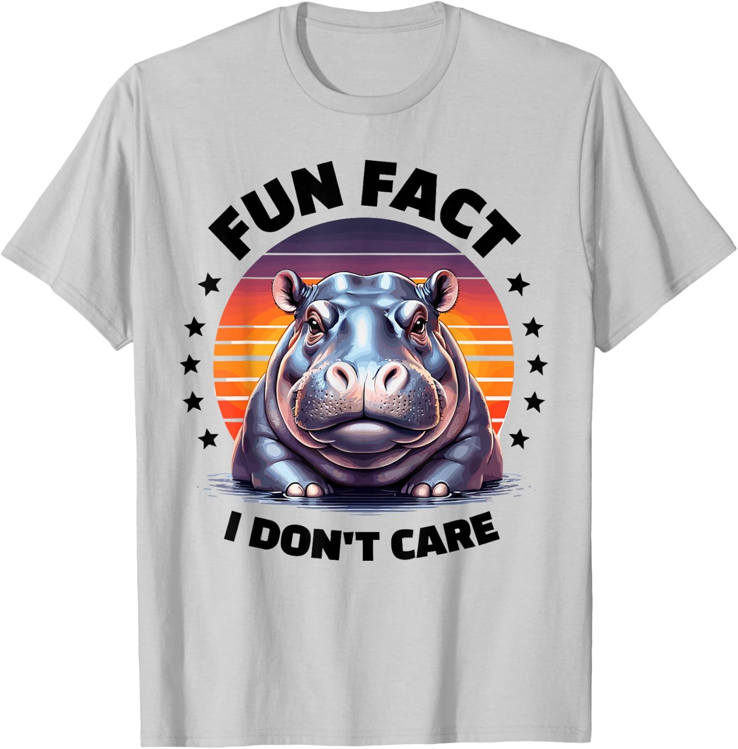 Fun Fact I Don't Care Hippo Stuff | Hippopotamus Funny Hippo T-Shirt - T-Shirt | Ash