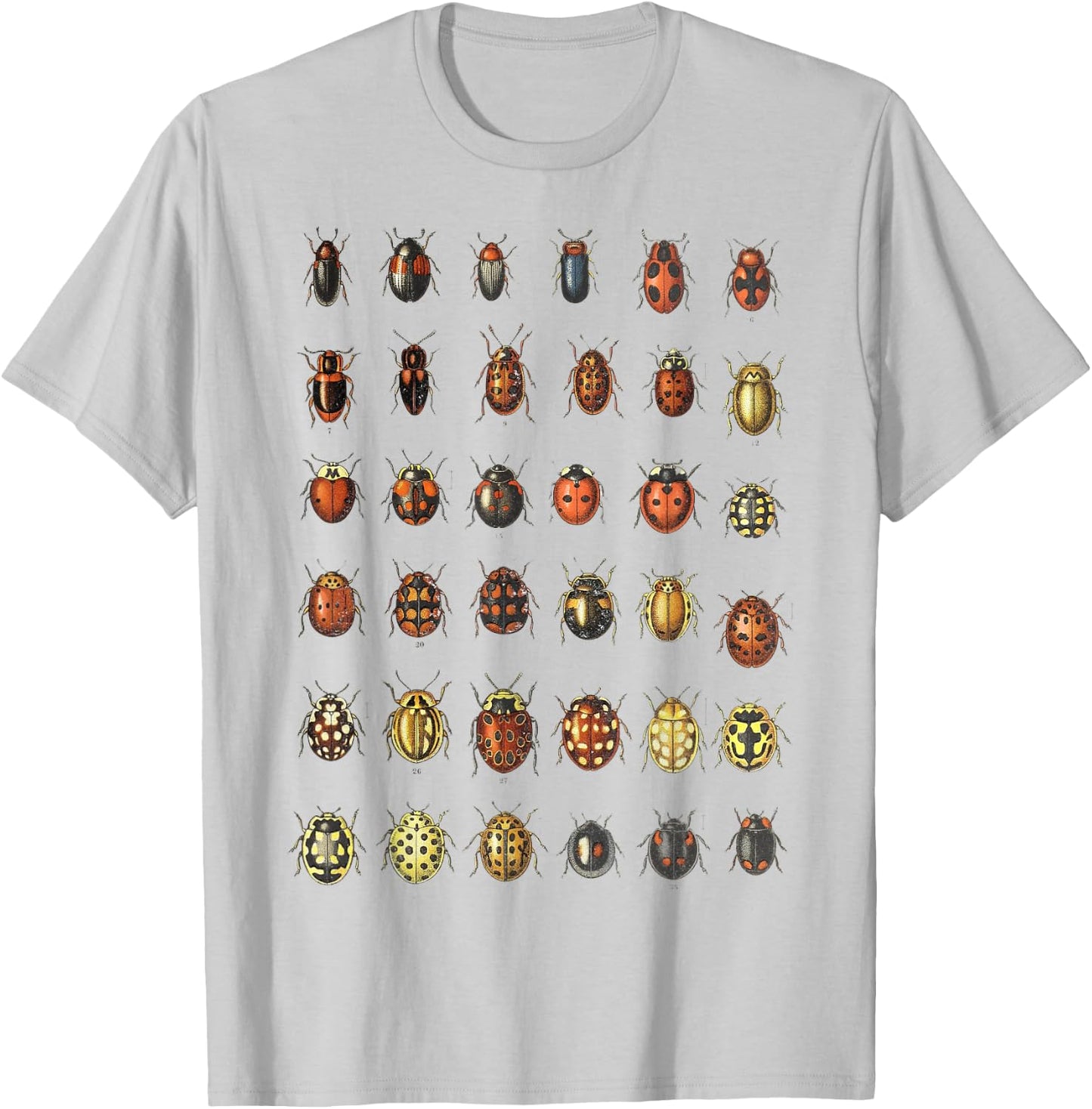 Insects Ladybugs Species Bug Vintage Entomology Entomologist T-Shirt - T-Shirt | Ash