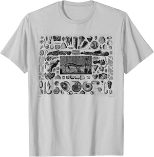 Vintage Dinosaur Fossils T-Rex Paleontology Jurassic Period T-Shirt - T-Shirt | Ash