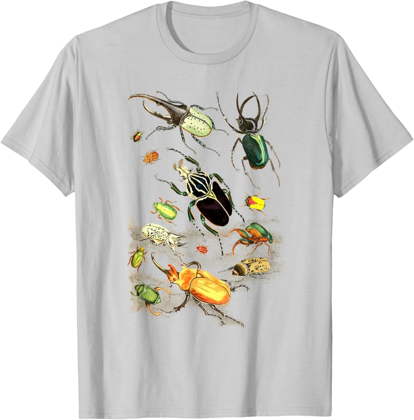 Insects Collection Species Bugs vintage Chart Entomology T-Shirt - T-Shirt | Ash