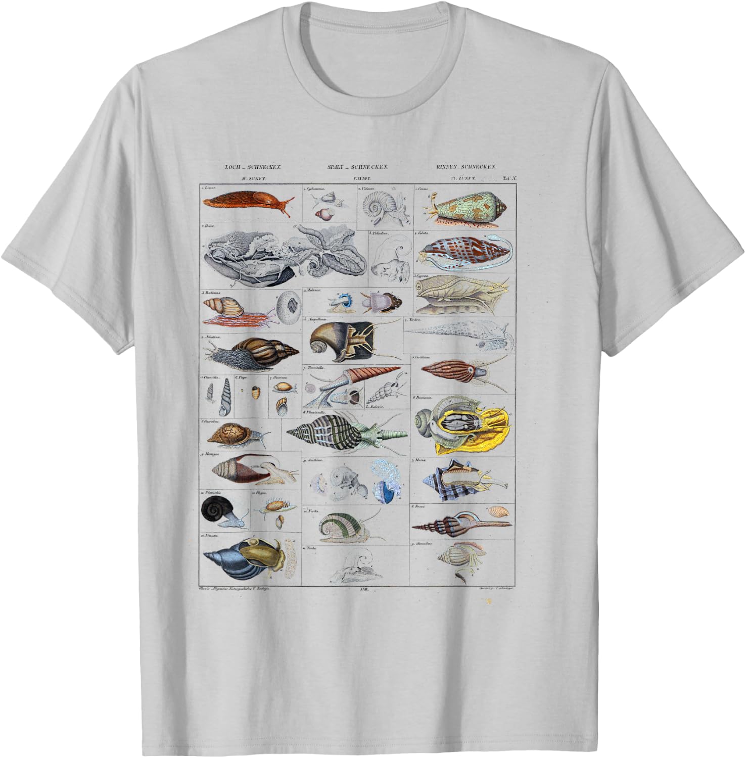 Oceanography Ocean Zoology biologists sailing Mollusk T-Shirt - T-Shirt | Ash